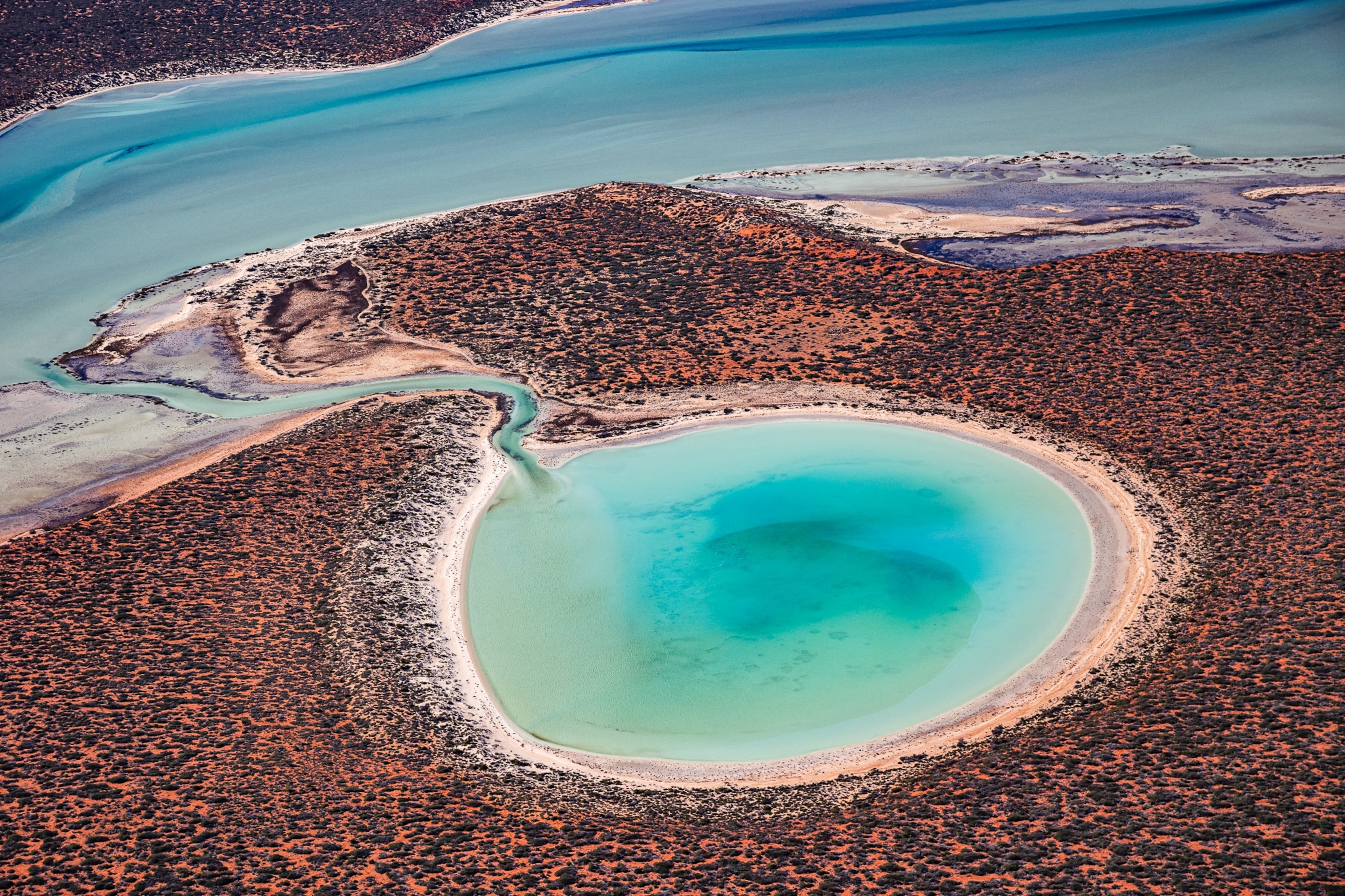 Australia's famous pink lakes are disappearing | National Geographic