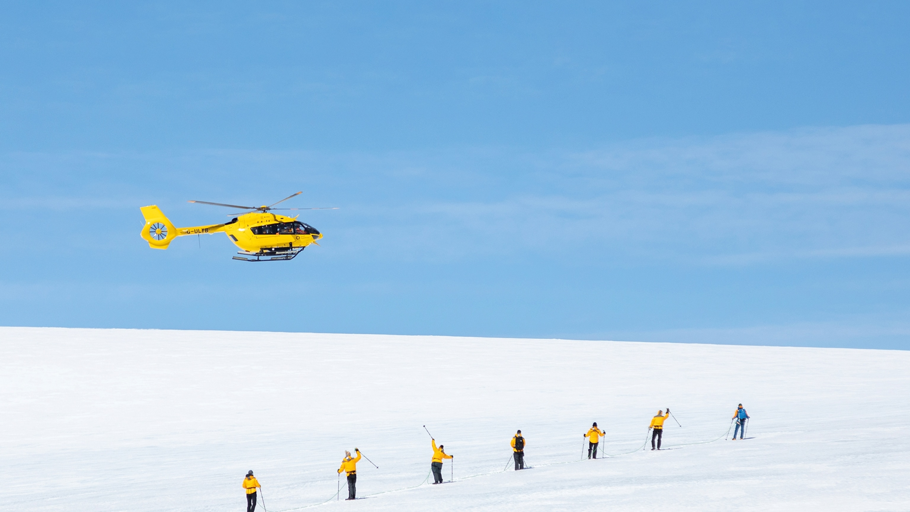 Here's how to meet Antarctica's penguins with an ornithologist