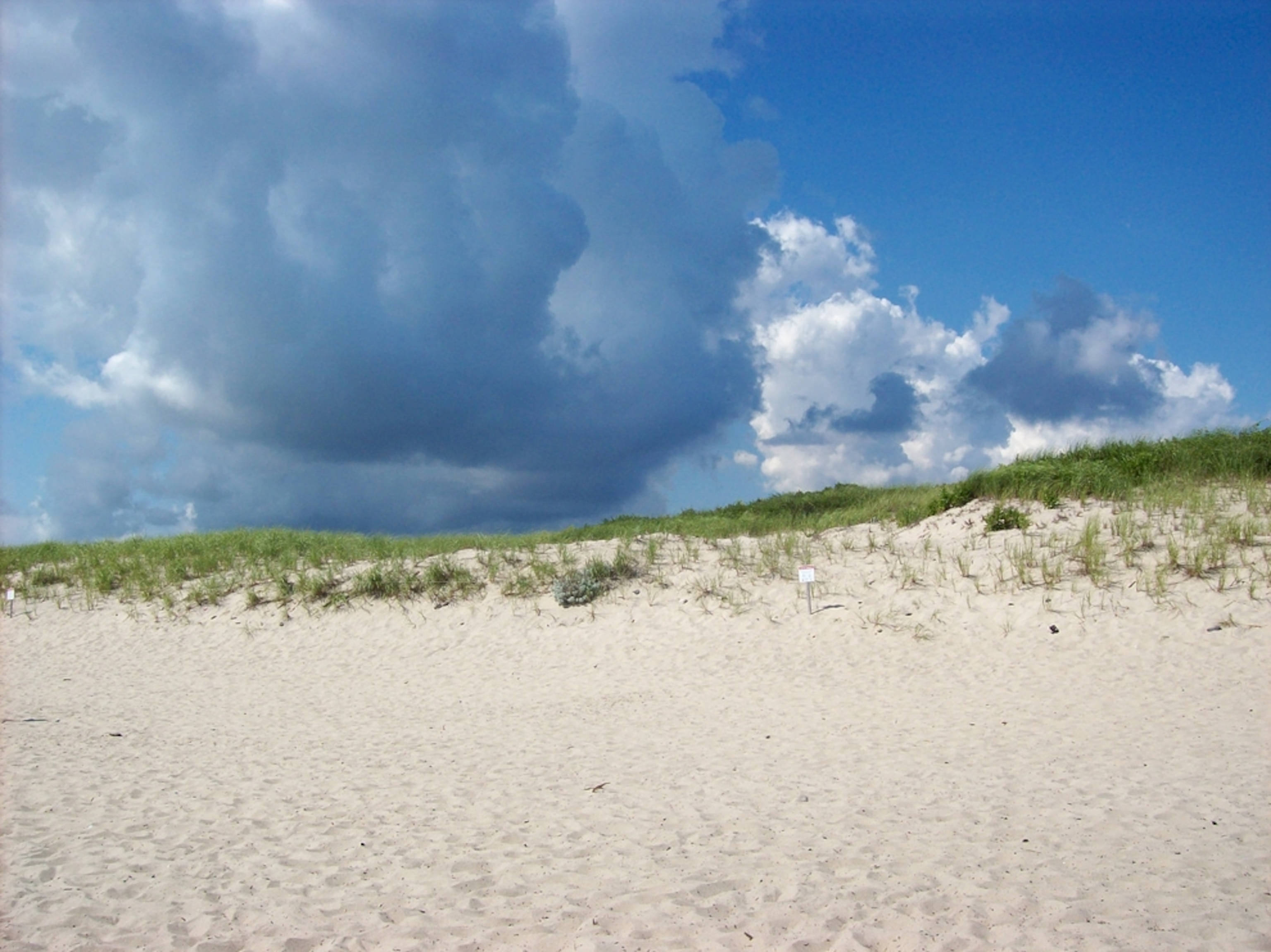 Coast Guard Beach, Cape Cod, Massachusetts, one of the ten best U.S. beaches of 2011