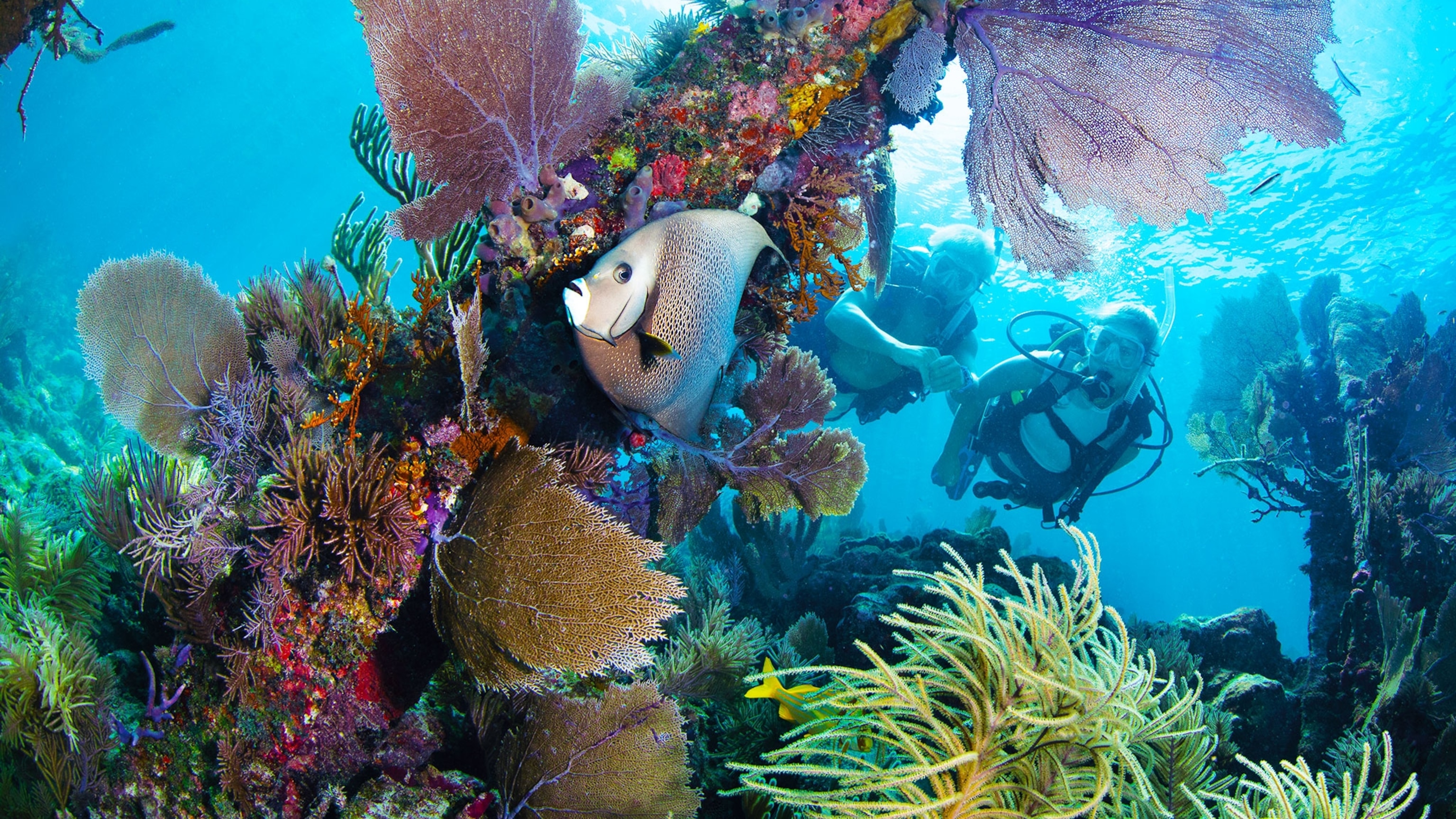 The top 3 adventures in The Florida Keys & Key West | National Geographic