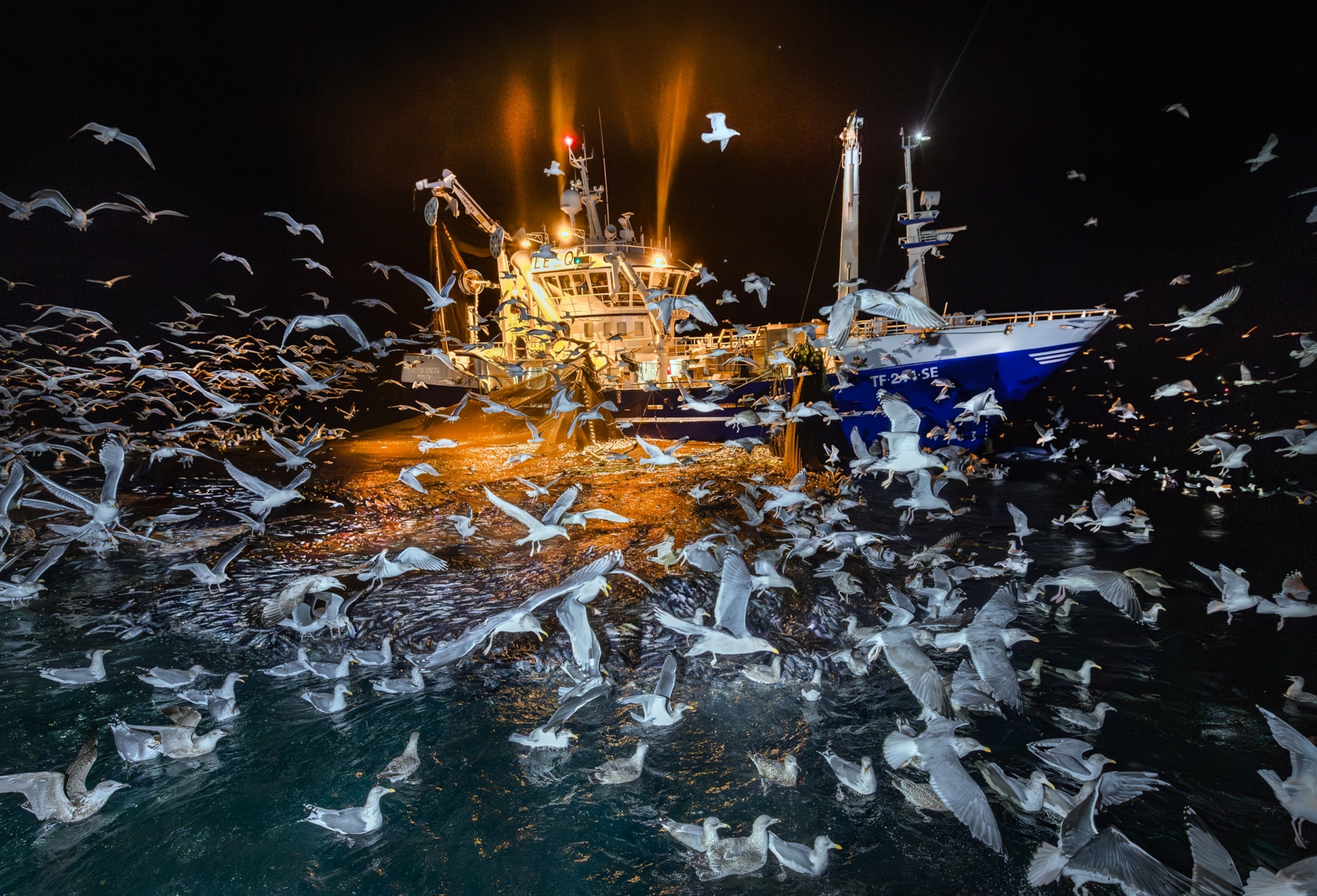 A flock of birds swarm around a vessel at night on the water.