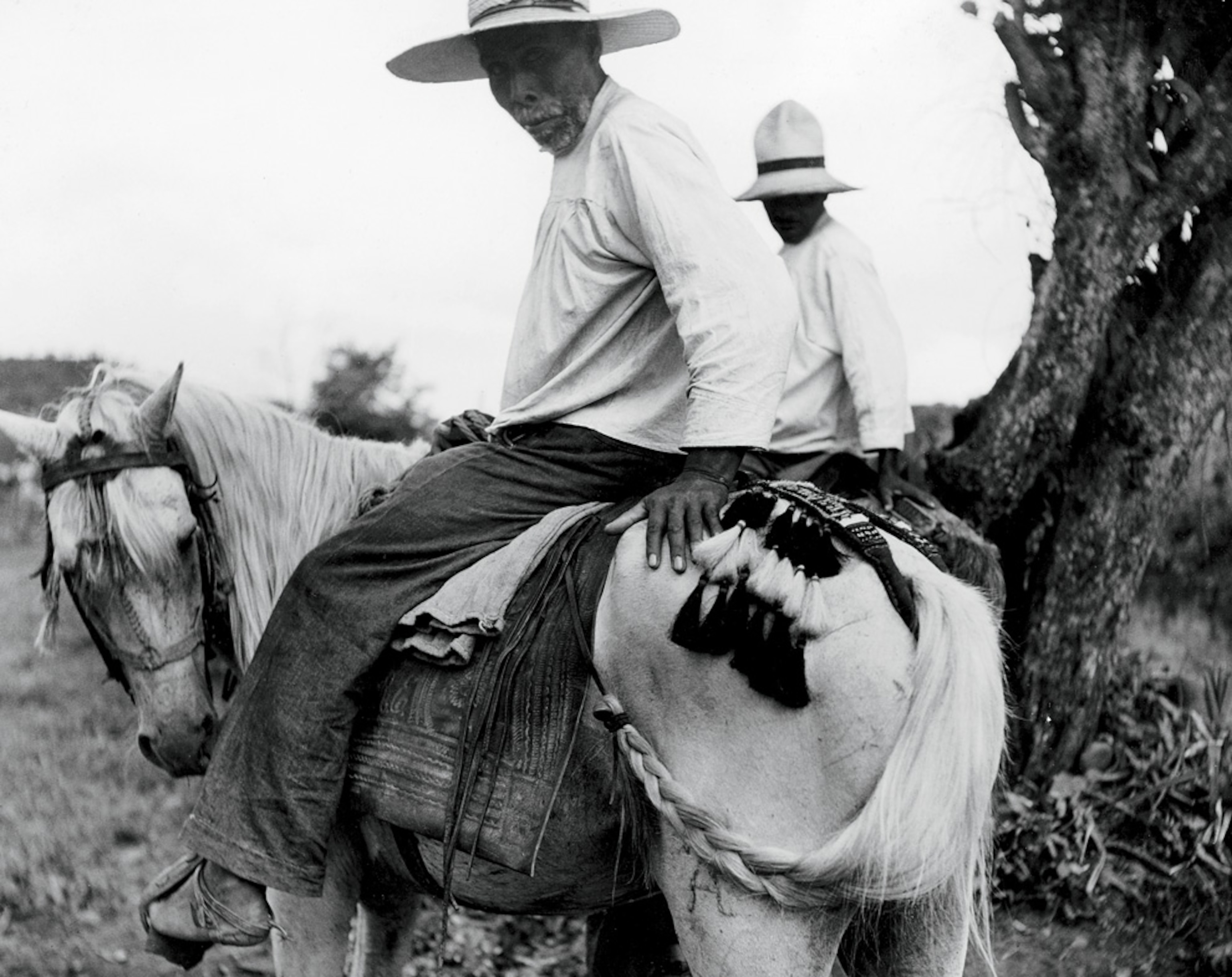 Man sitting on a horse