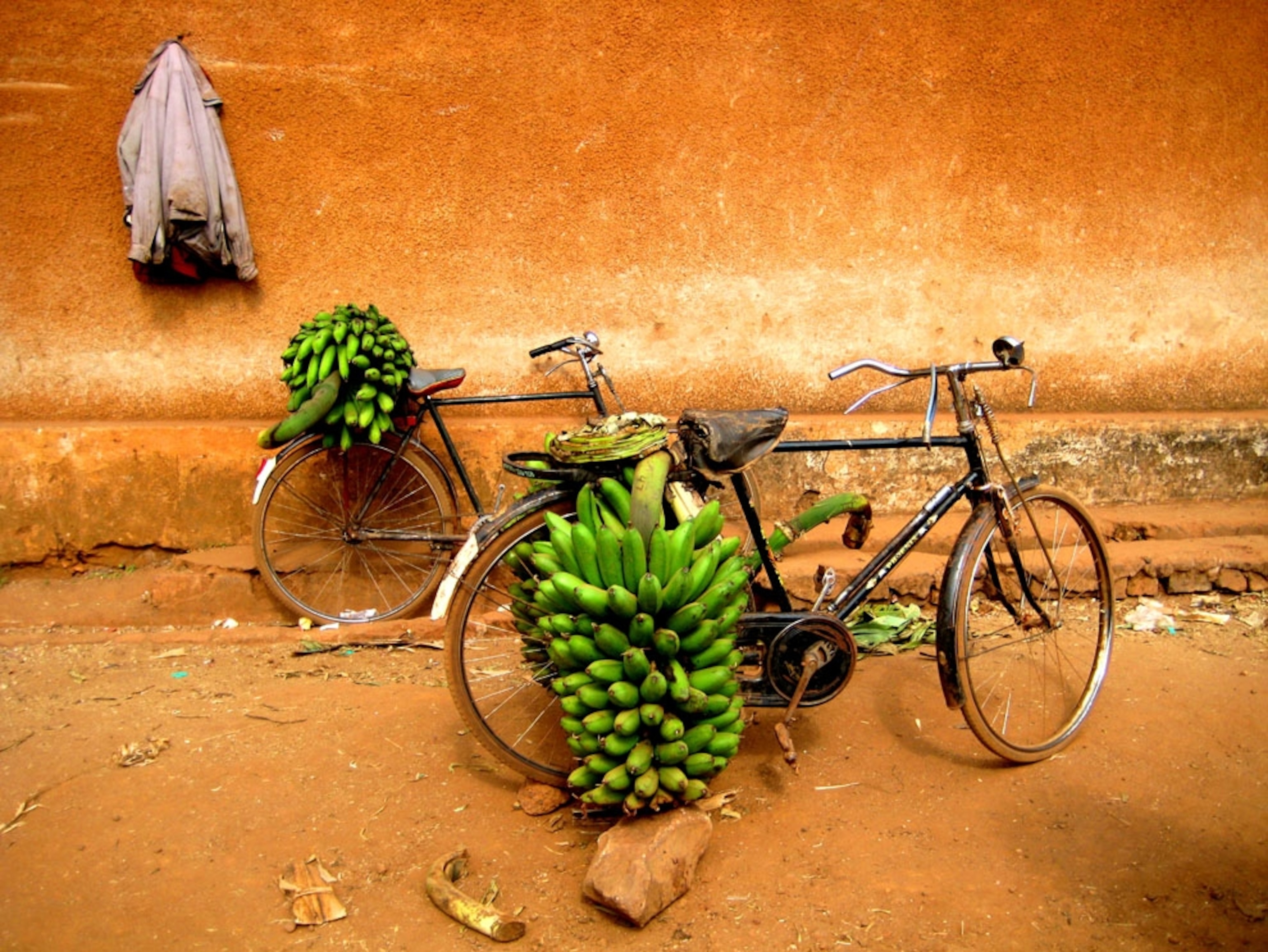 Bananas are hooked to a bike in Karagwe, Tanzania