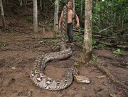 Quotpoison Snake Bitesquot On Pinterest Snakes World Records