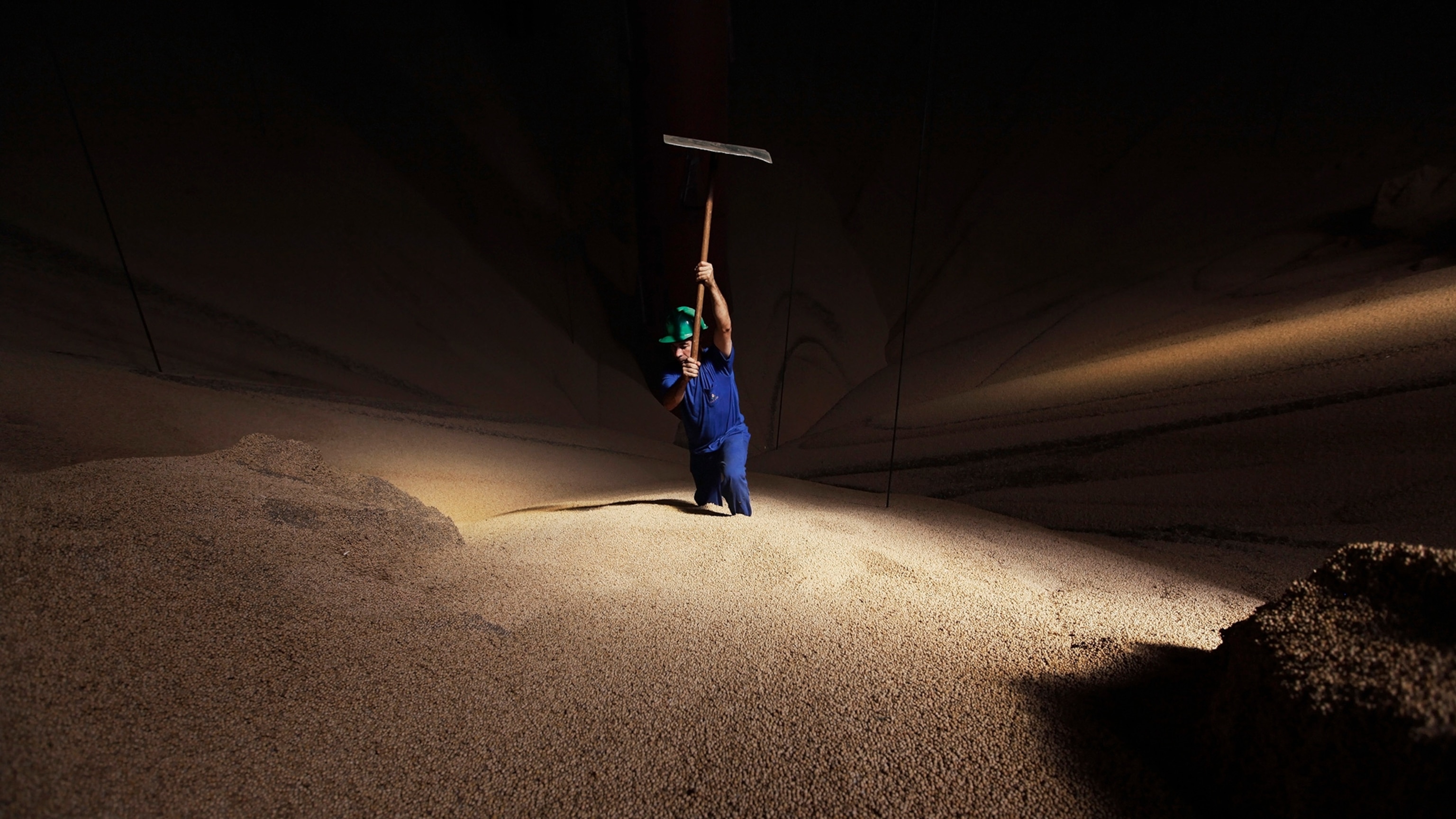 How the humble soybean took over the world
