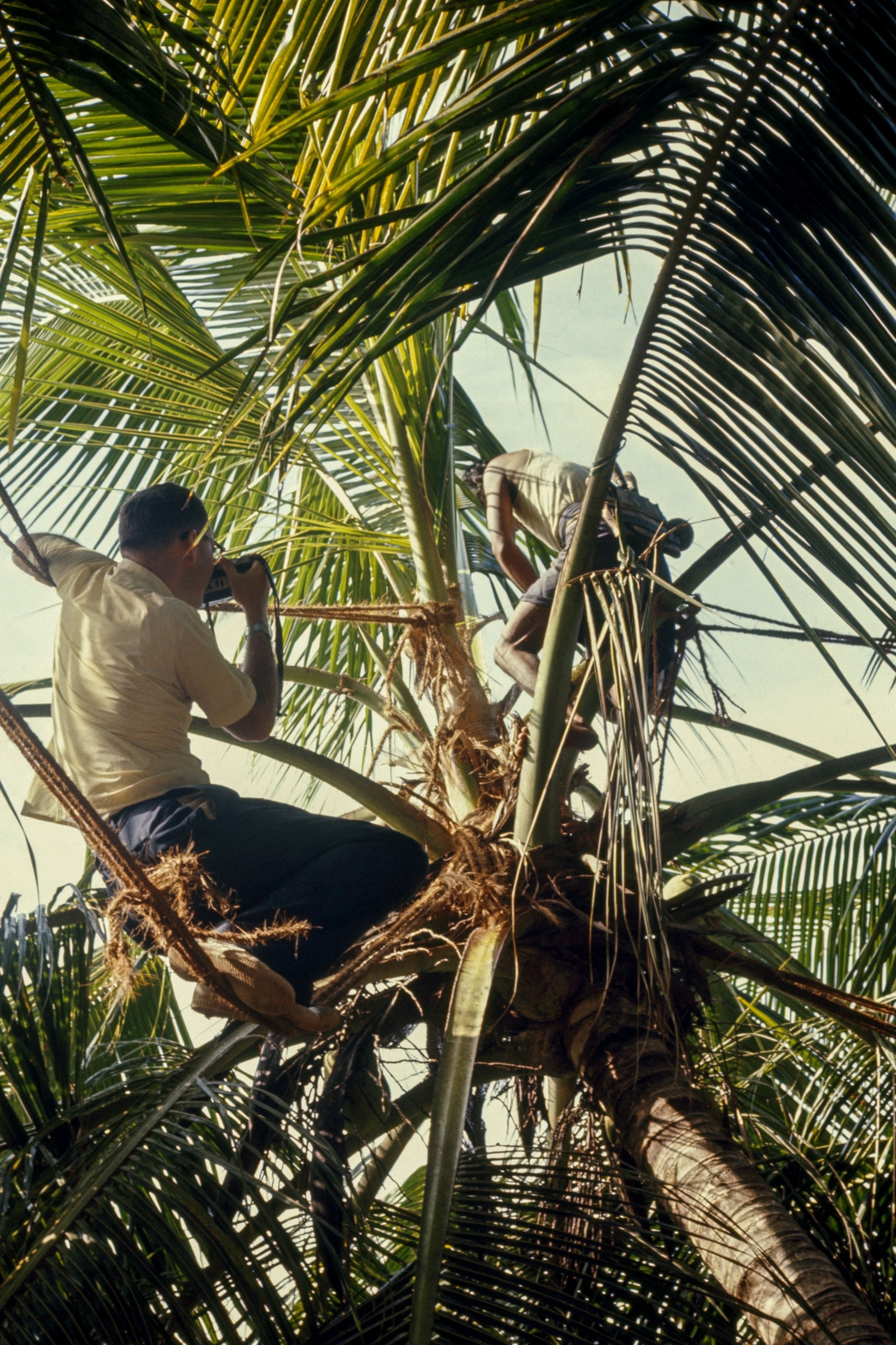 New memoir tells the inside story of National Geographic's founding family