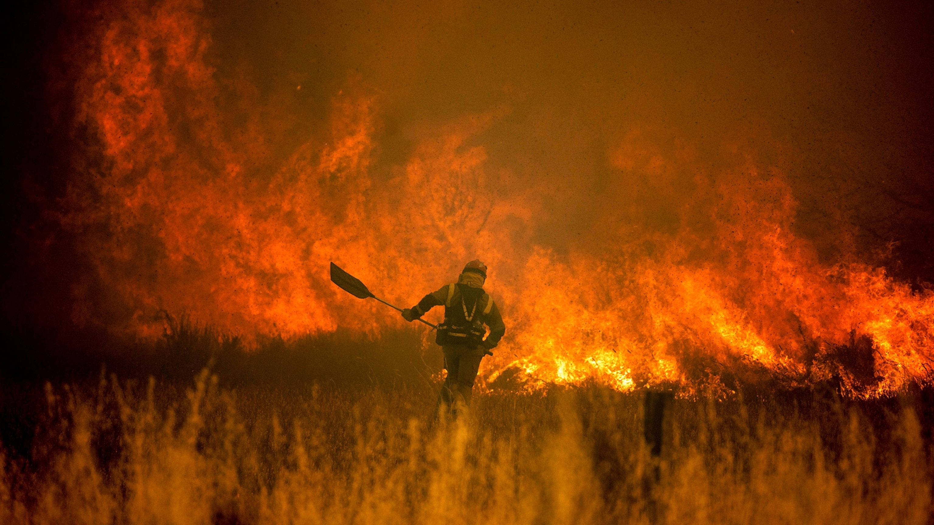 Meet the ‘firefighting’ donkeys of Spain