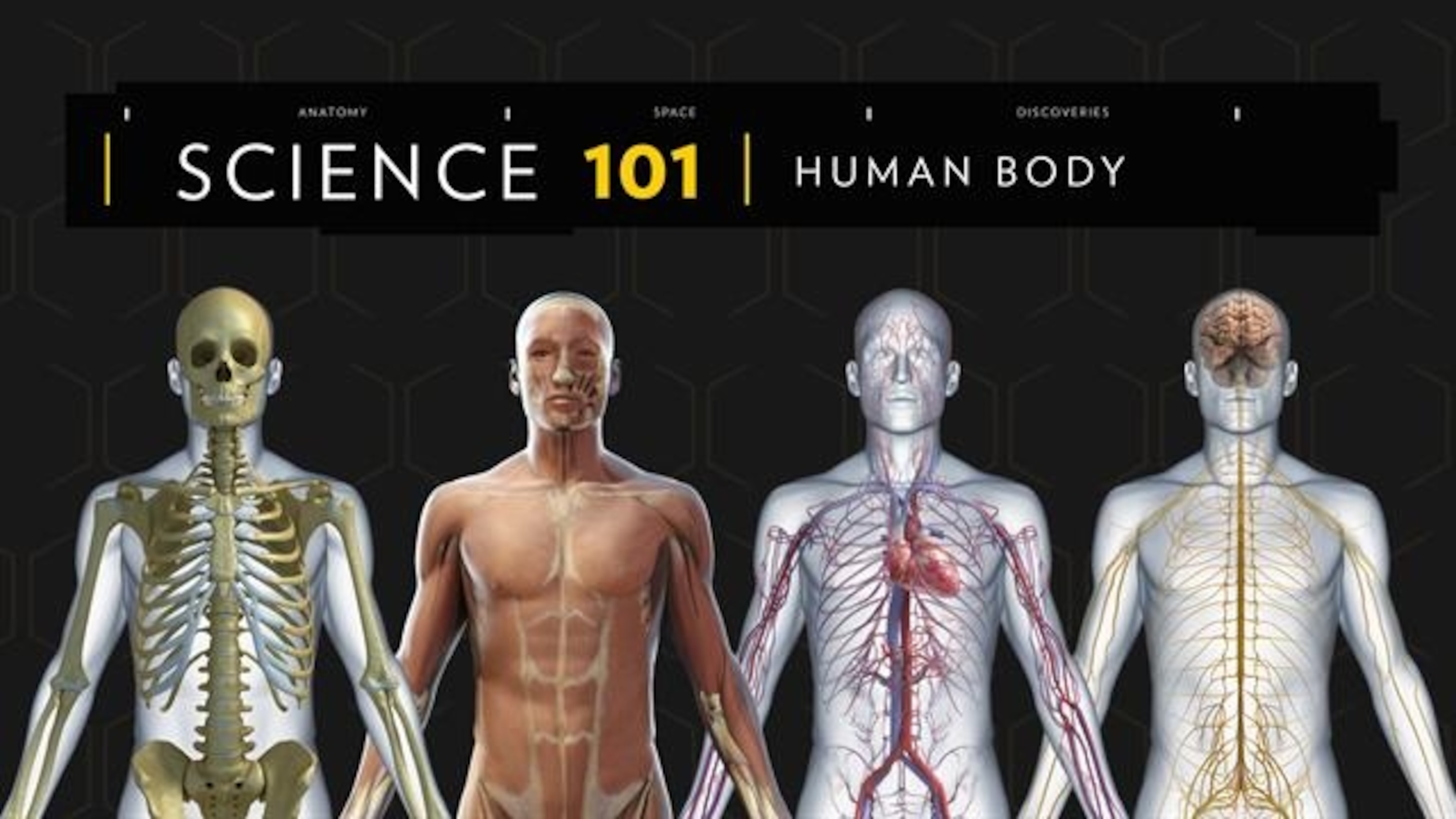 RELATED: Human Body 11 Within Inside The Living Body Worksheet