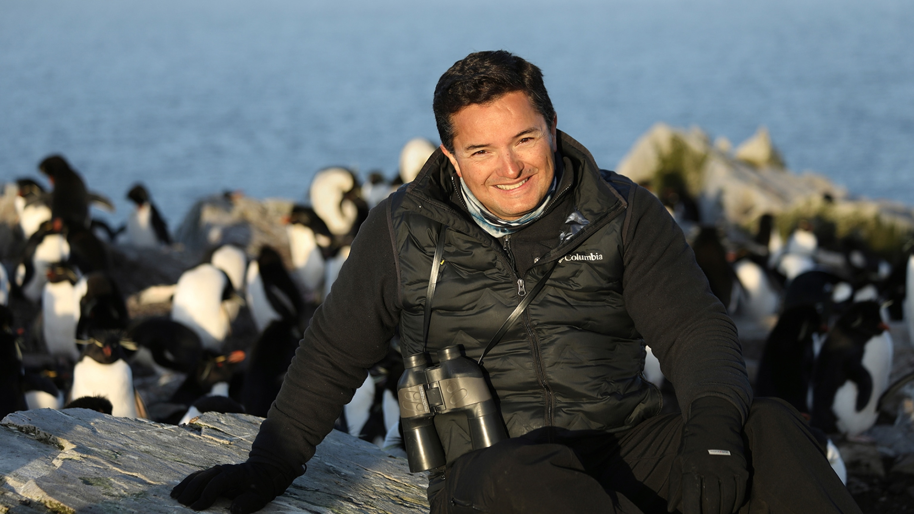 Penguins are incredibly resilient—and these explorers are revealing their secrets