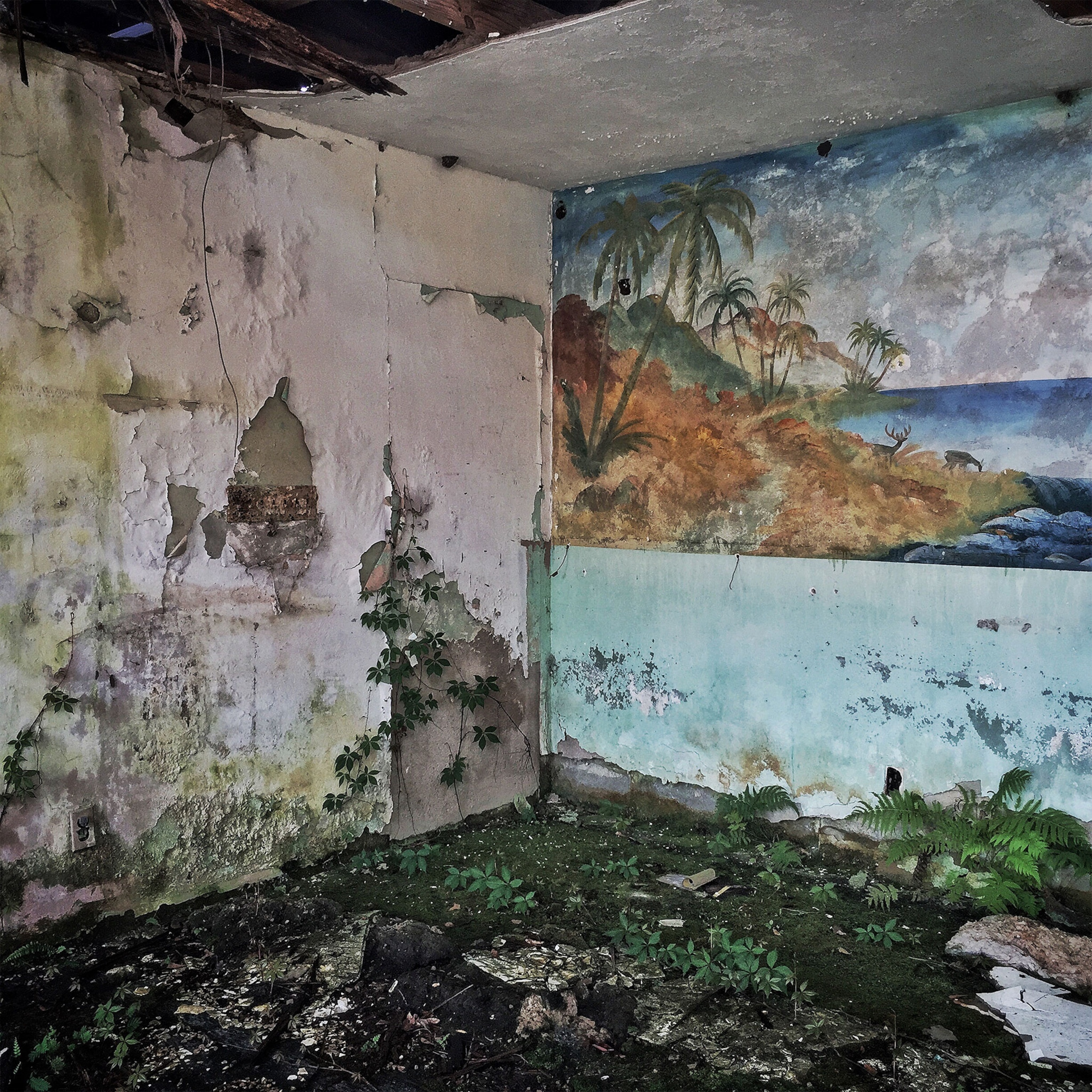 an abandoned motel in Florida