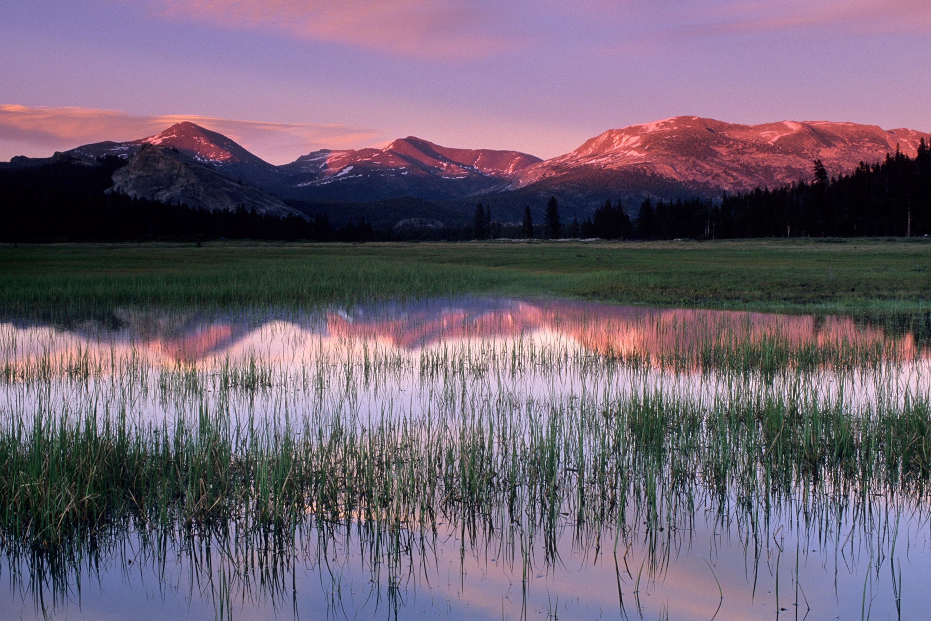 Tuolumne Meadows in Yosemite National Park, California