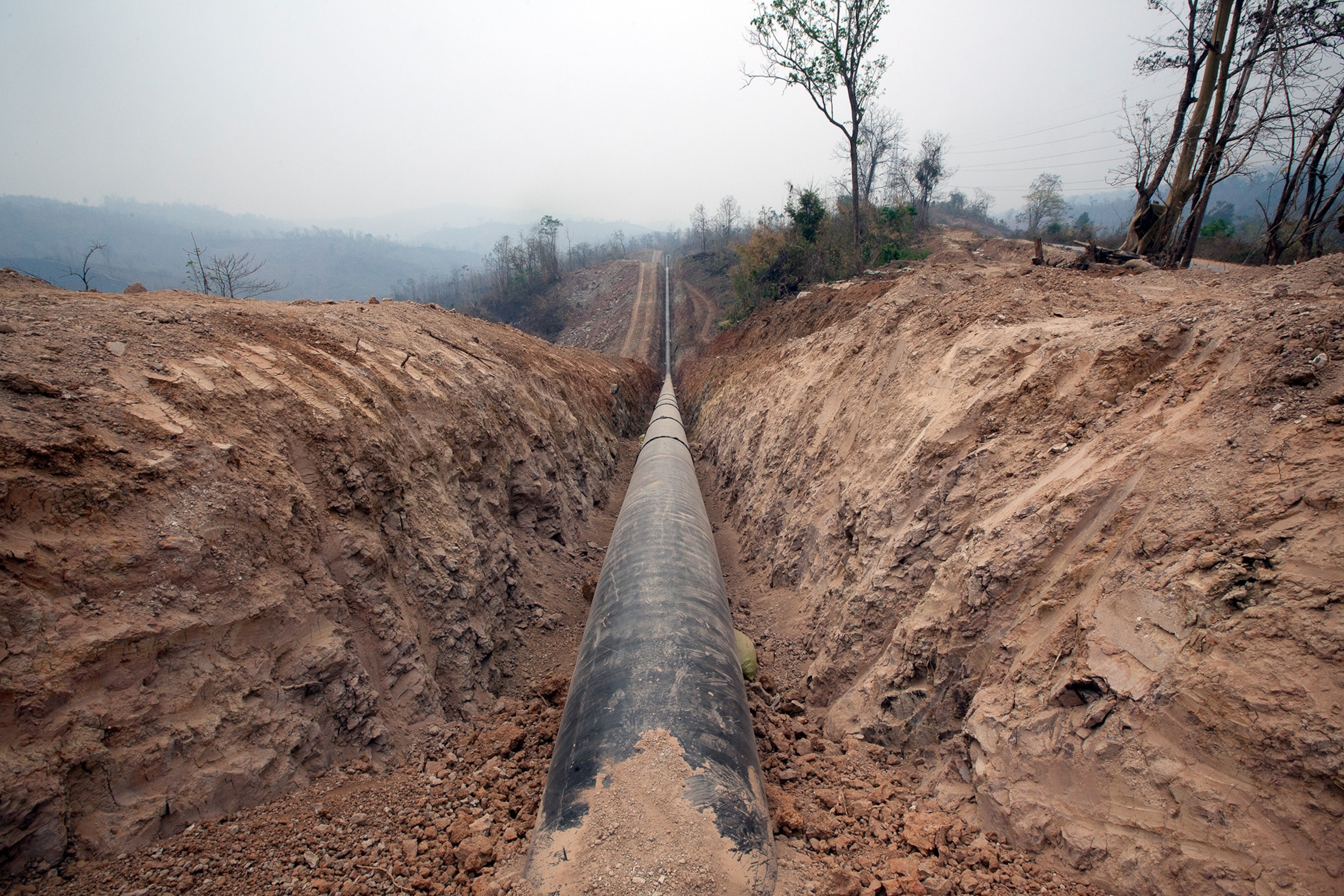 a boatman steering through a mangrove swamp near the start of a 1,500 mile oil pipeline from the Bay of Bengal to China's Yunan province.