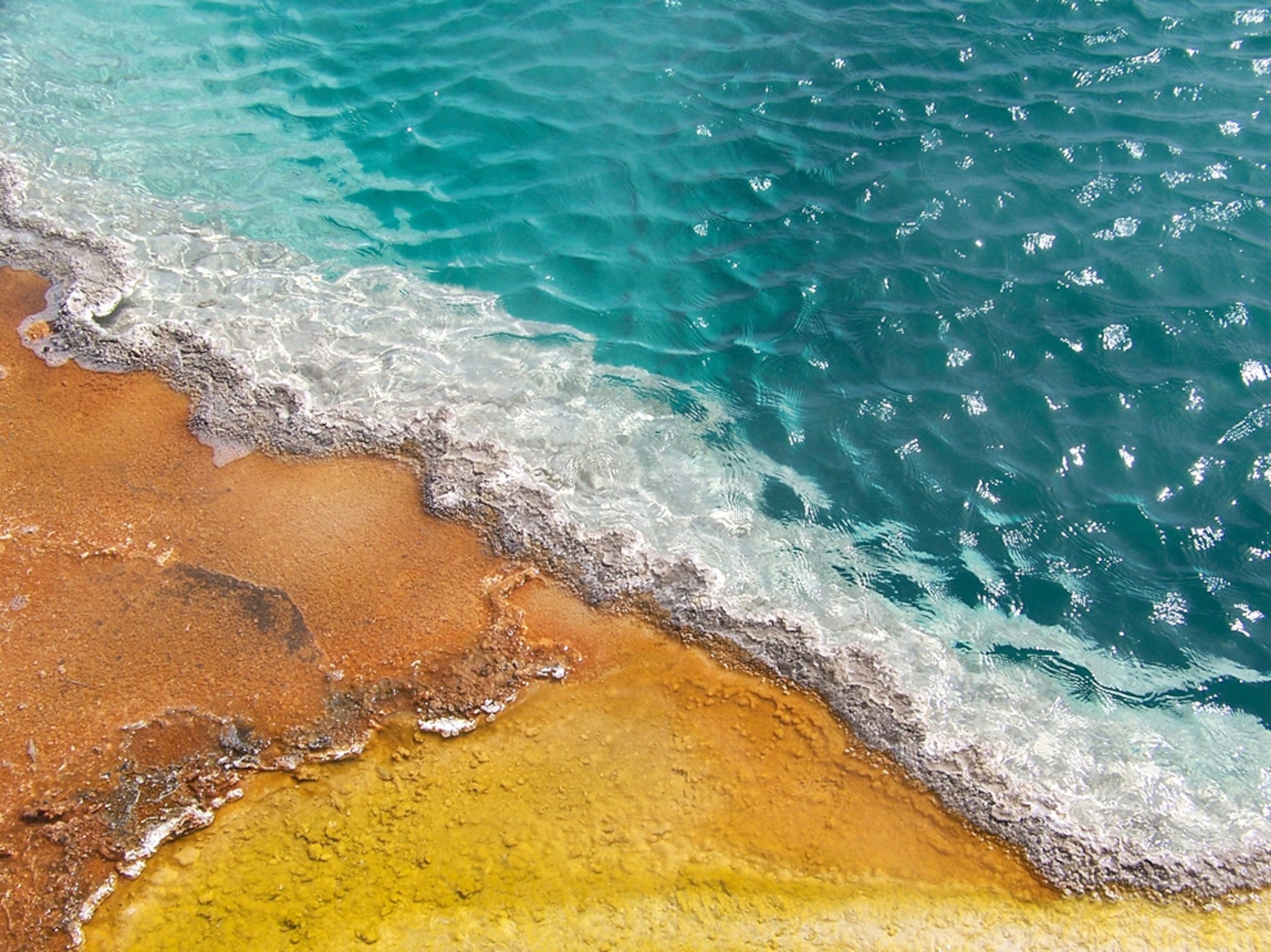Detail shot of a thermal pool in Yellowstone National Park