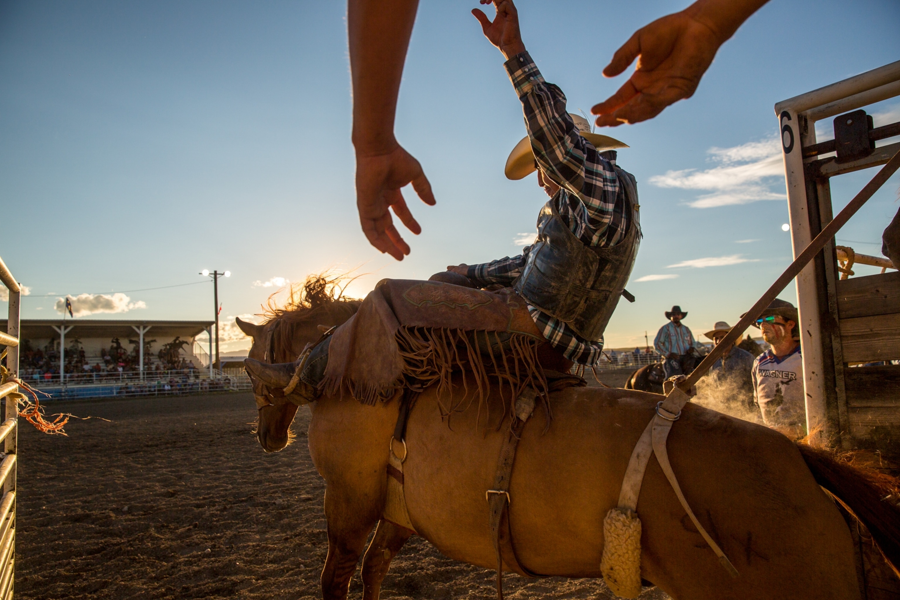 How the return of bison connects travelers with Native cultures