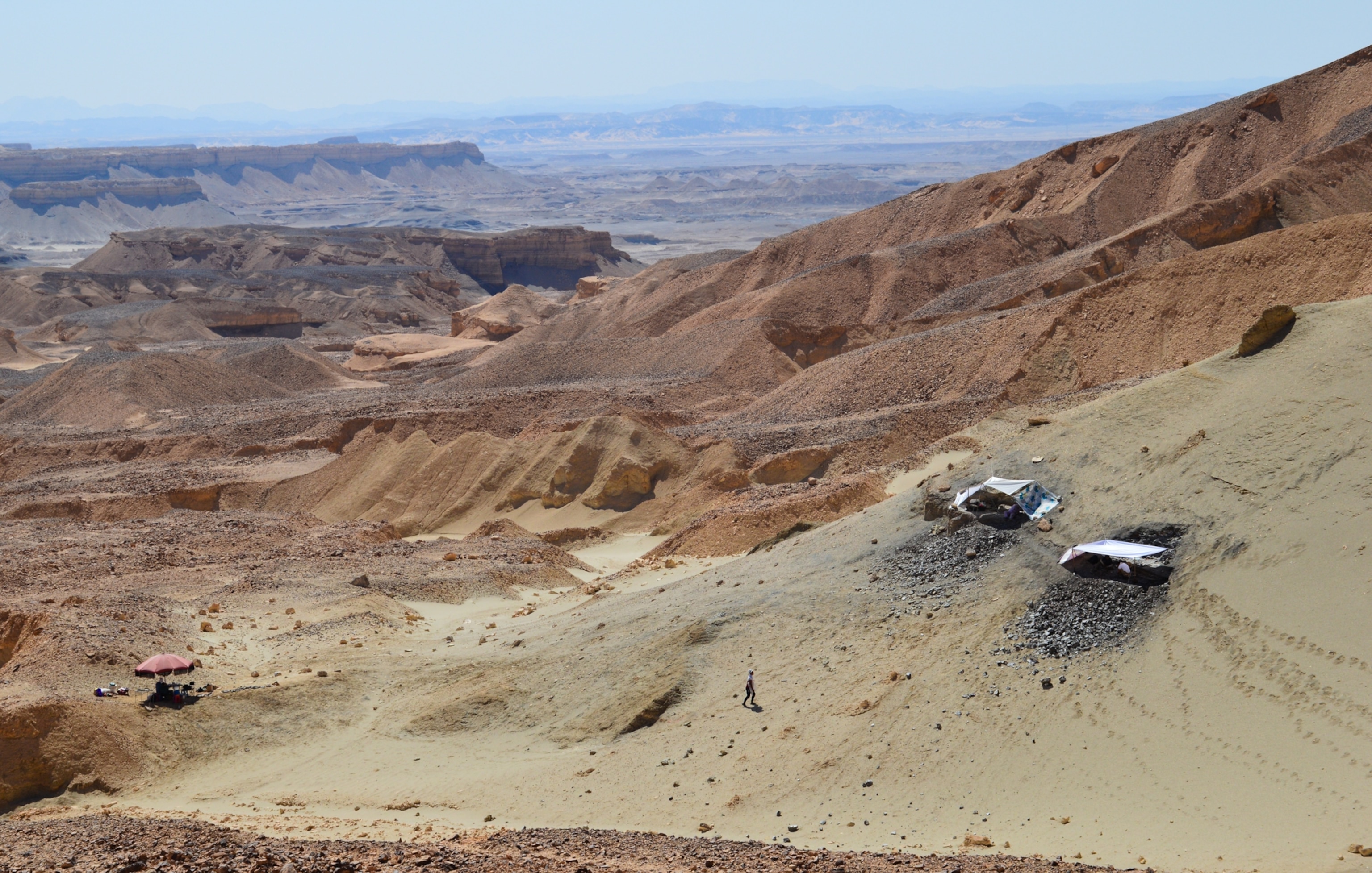 A large, arid desert area featuring rolling sand dunes and sparse vegetation under bright sunlight.