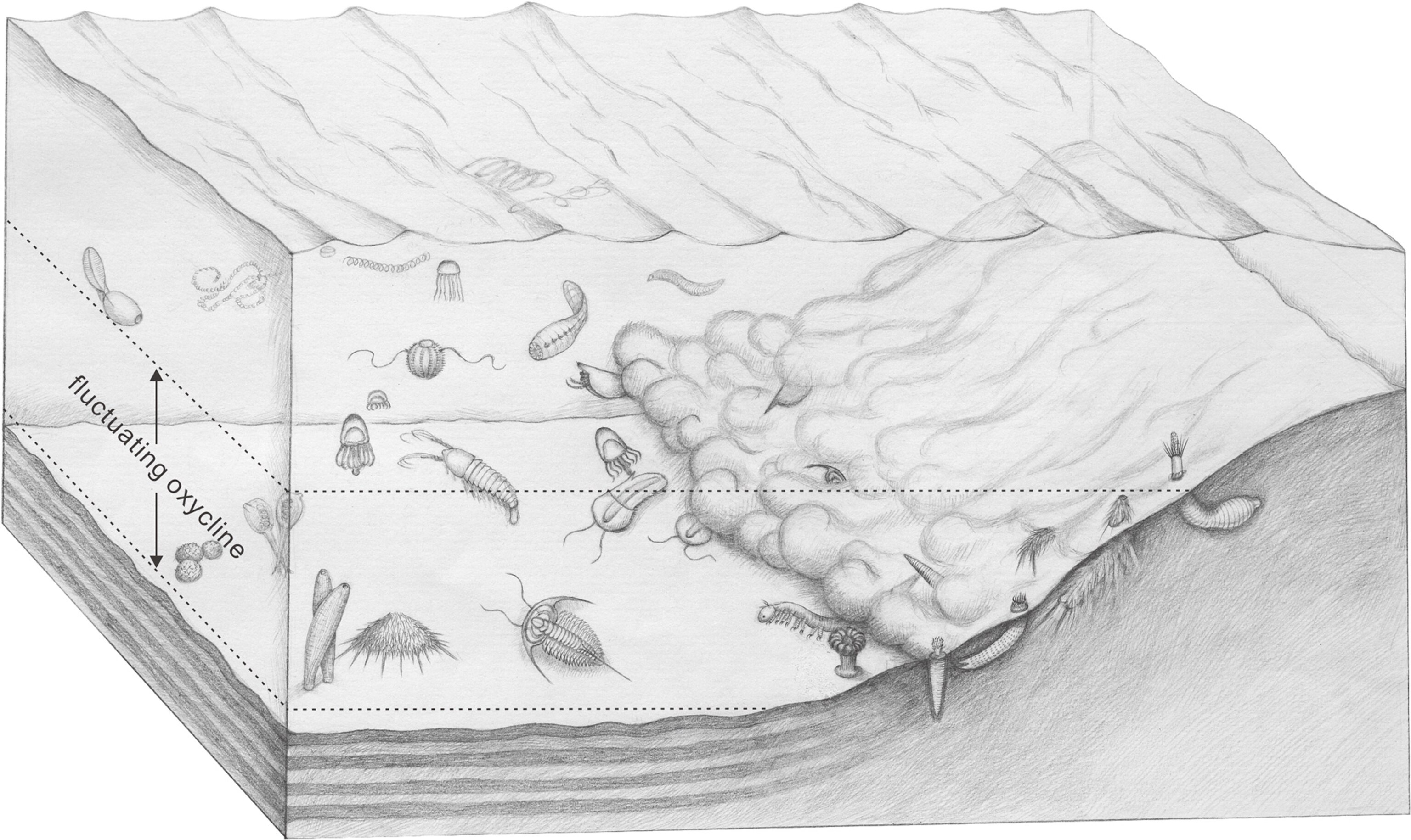 Treasure Trove Of Spectacular Fossils Found In China National Geographic Treasure Trove Of Spectacular Fossils Found In China National Geographic