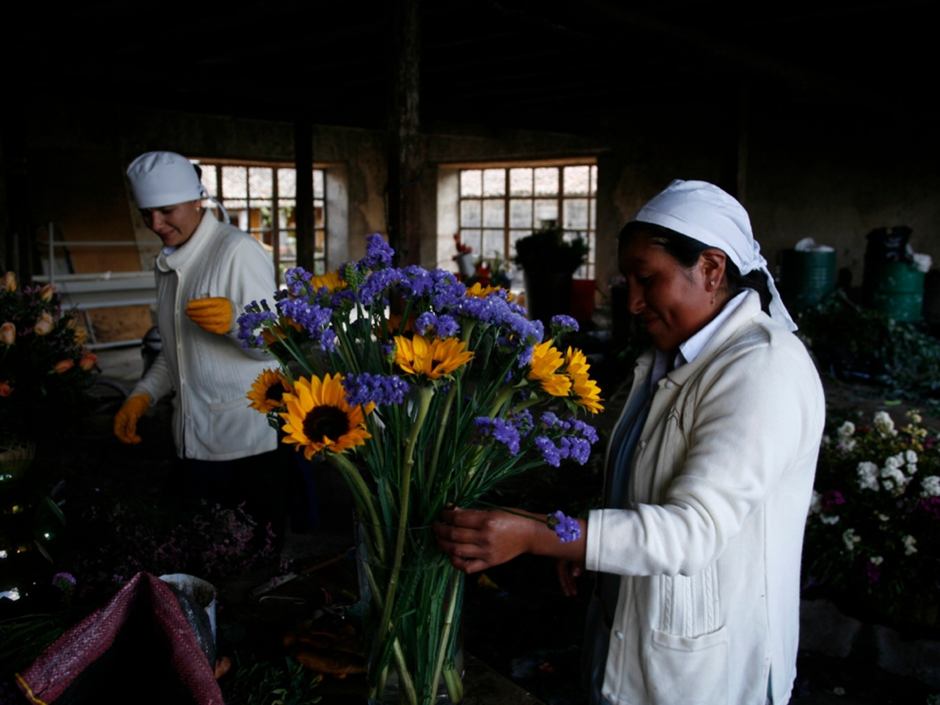 Workers arrange flowers, Hacienda San Agustin de Callo, Ecuador