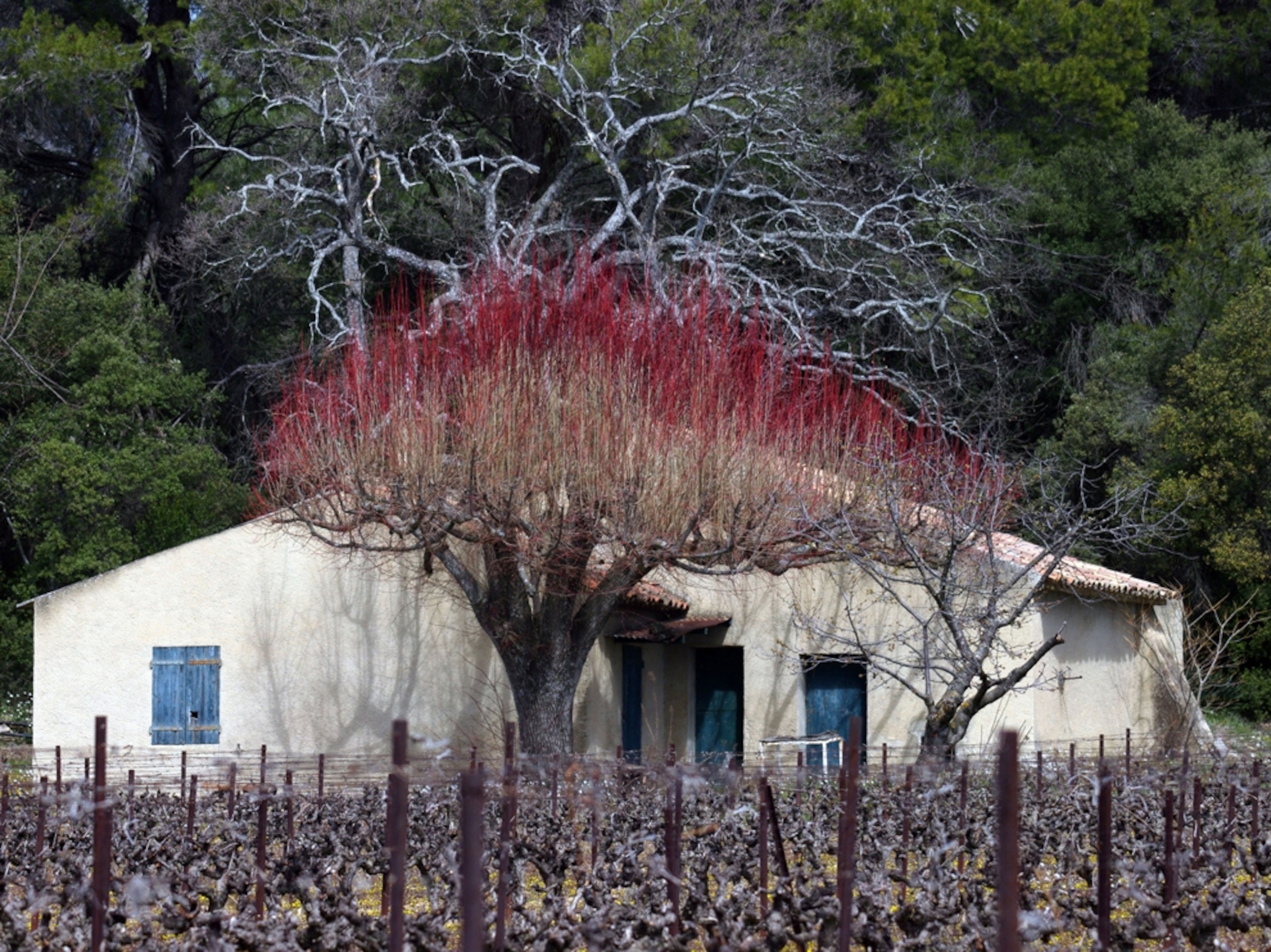 House in Provence, France