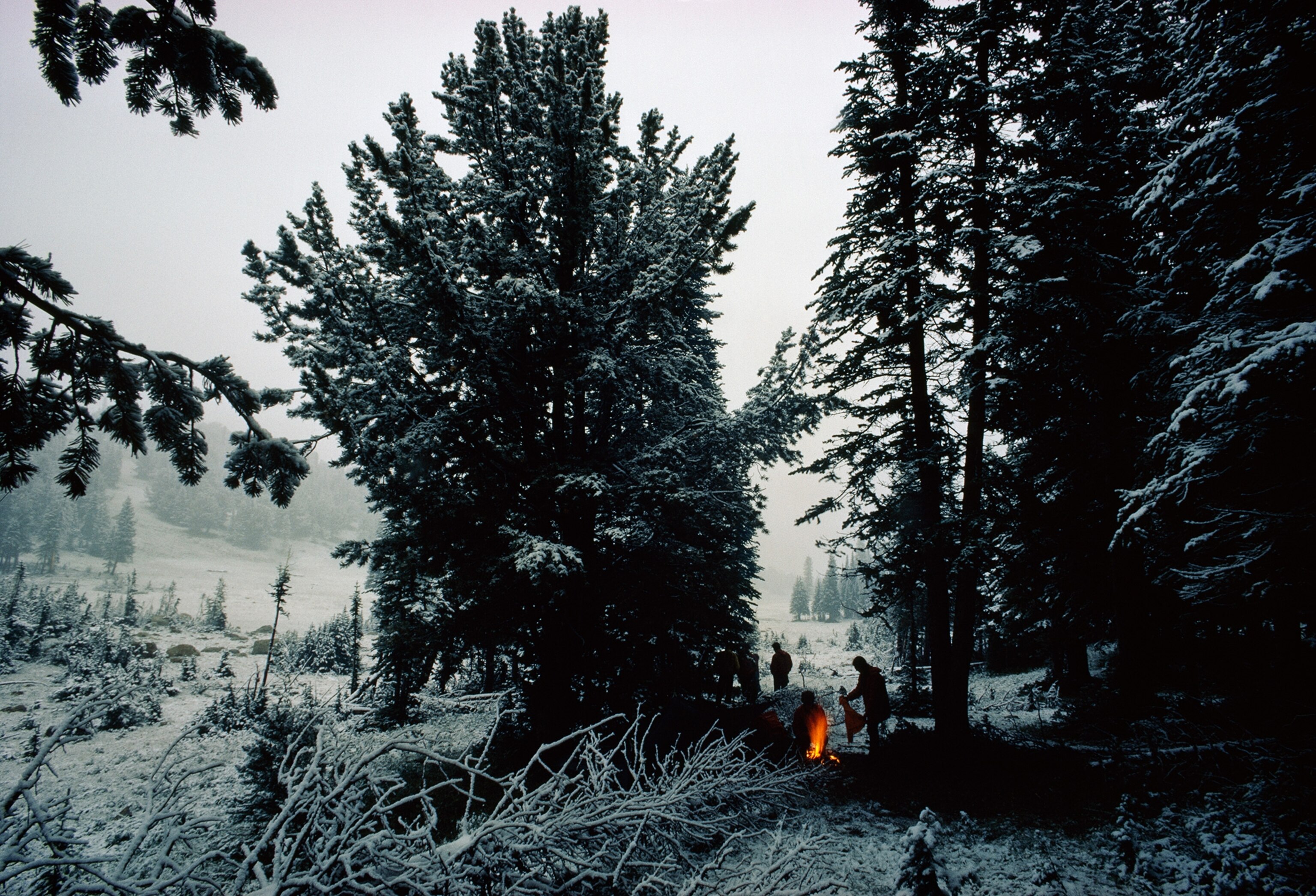 hikers surrounding campfire