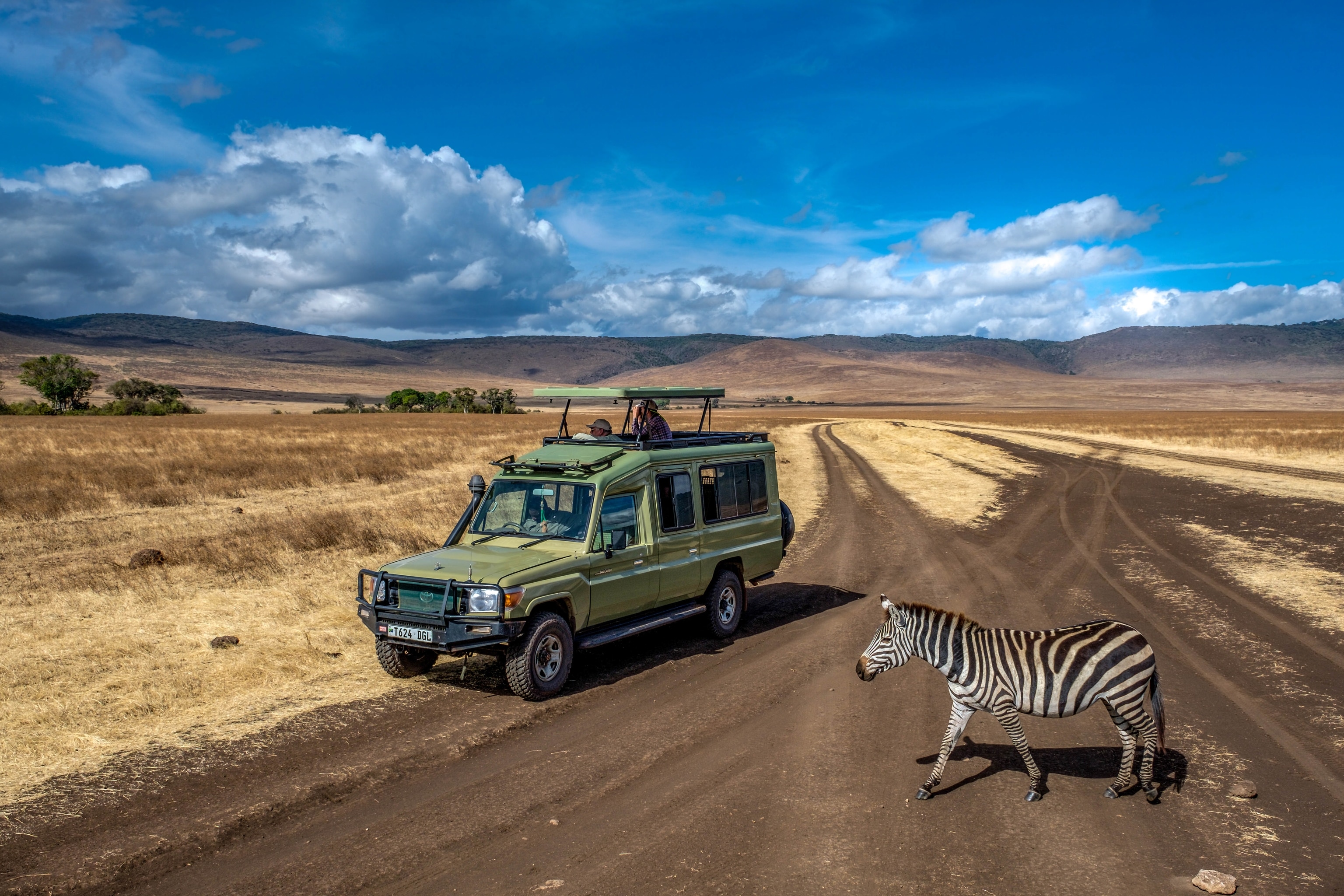 A zebra crosses by a green safari jeep parked on a dirt road in the middle of the Ngorongoro Crater Conservation area.