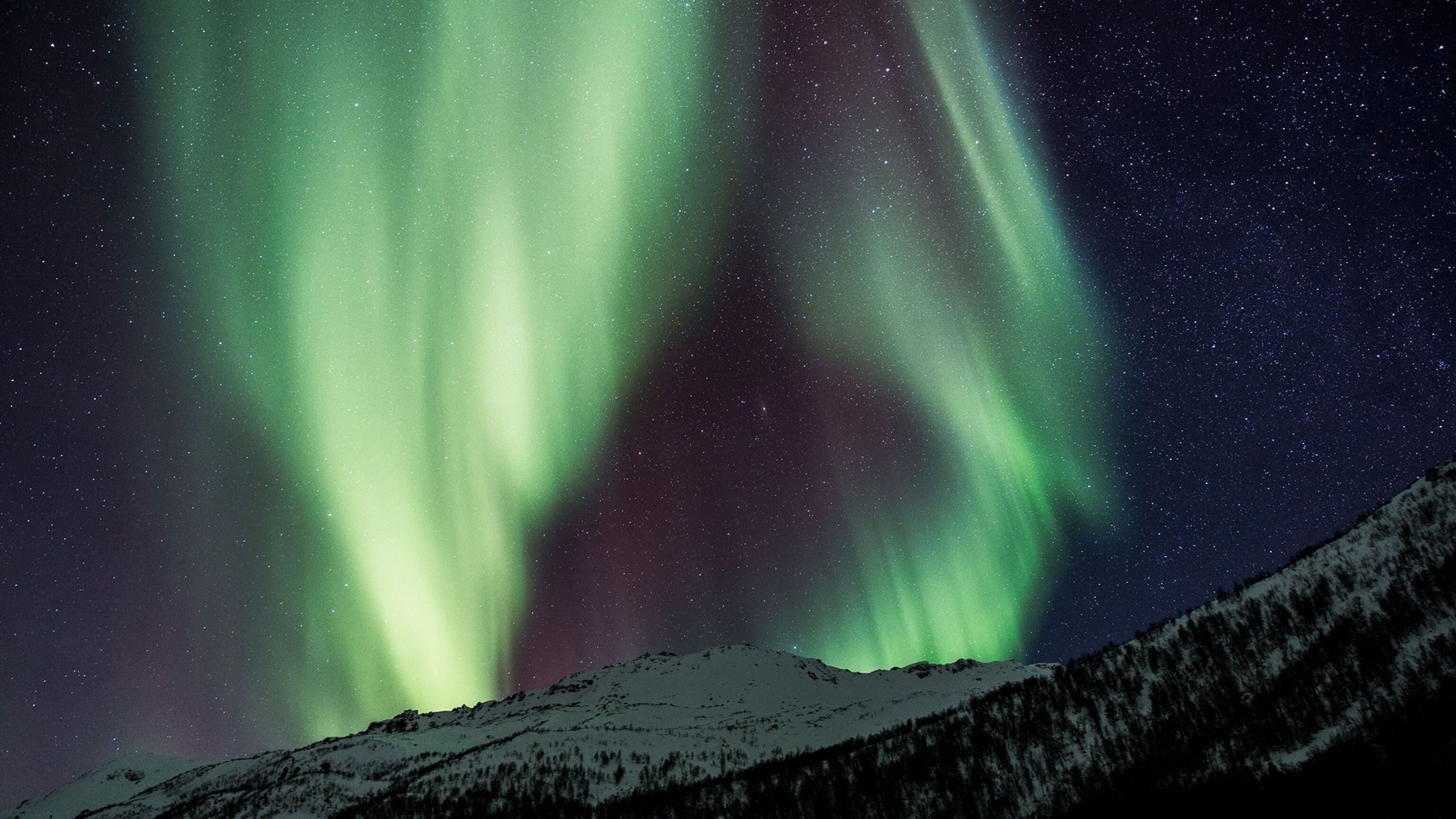 The best view of the northern lights involves a lot of travel—but