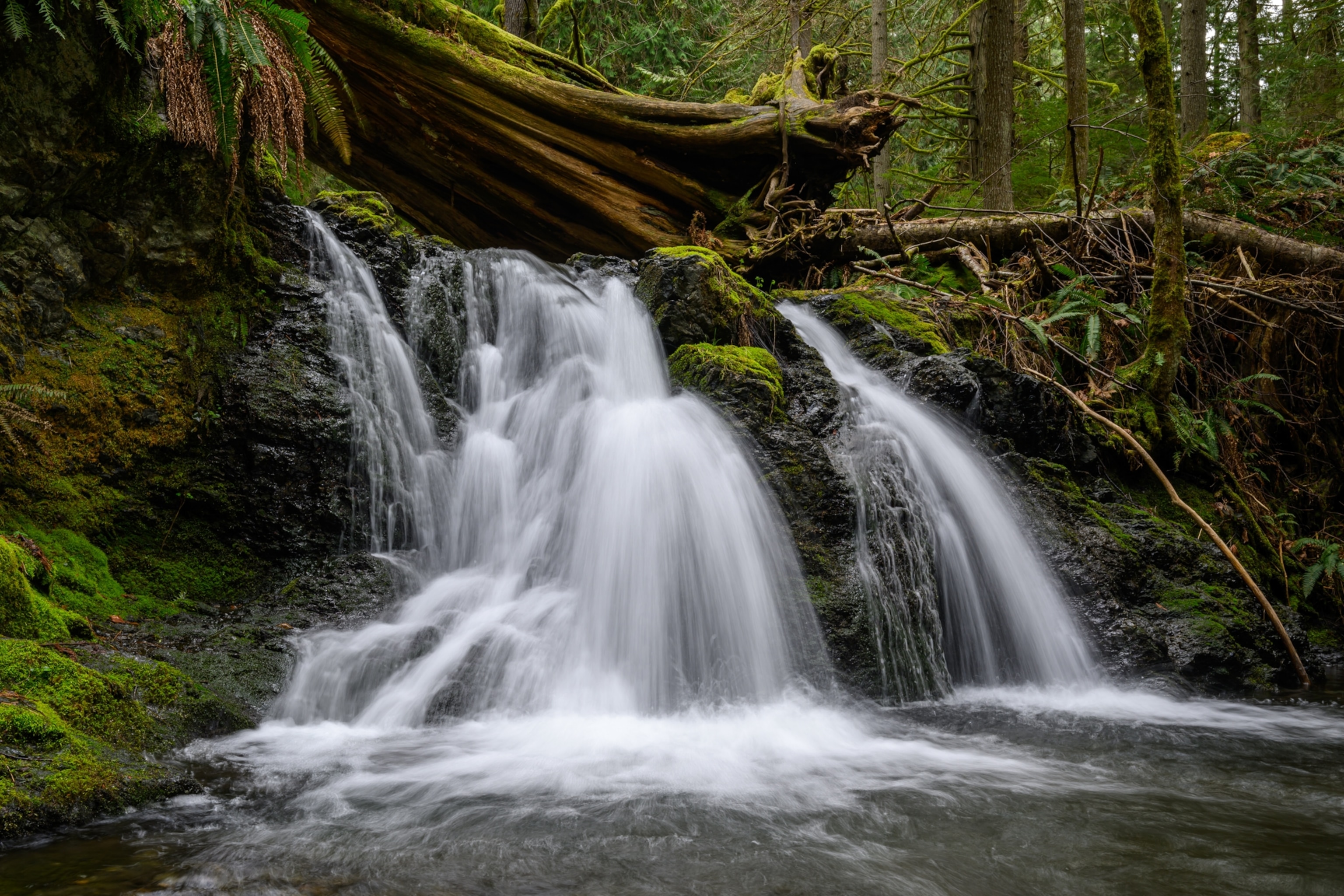 Rustic Falls, a small waterfall in Moran State Park. 