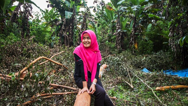 Capturing The Cinnamon Harvest In Sumatra