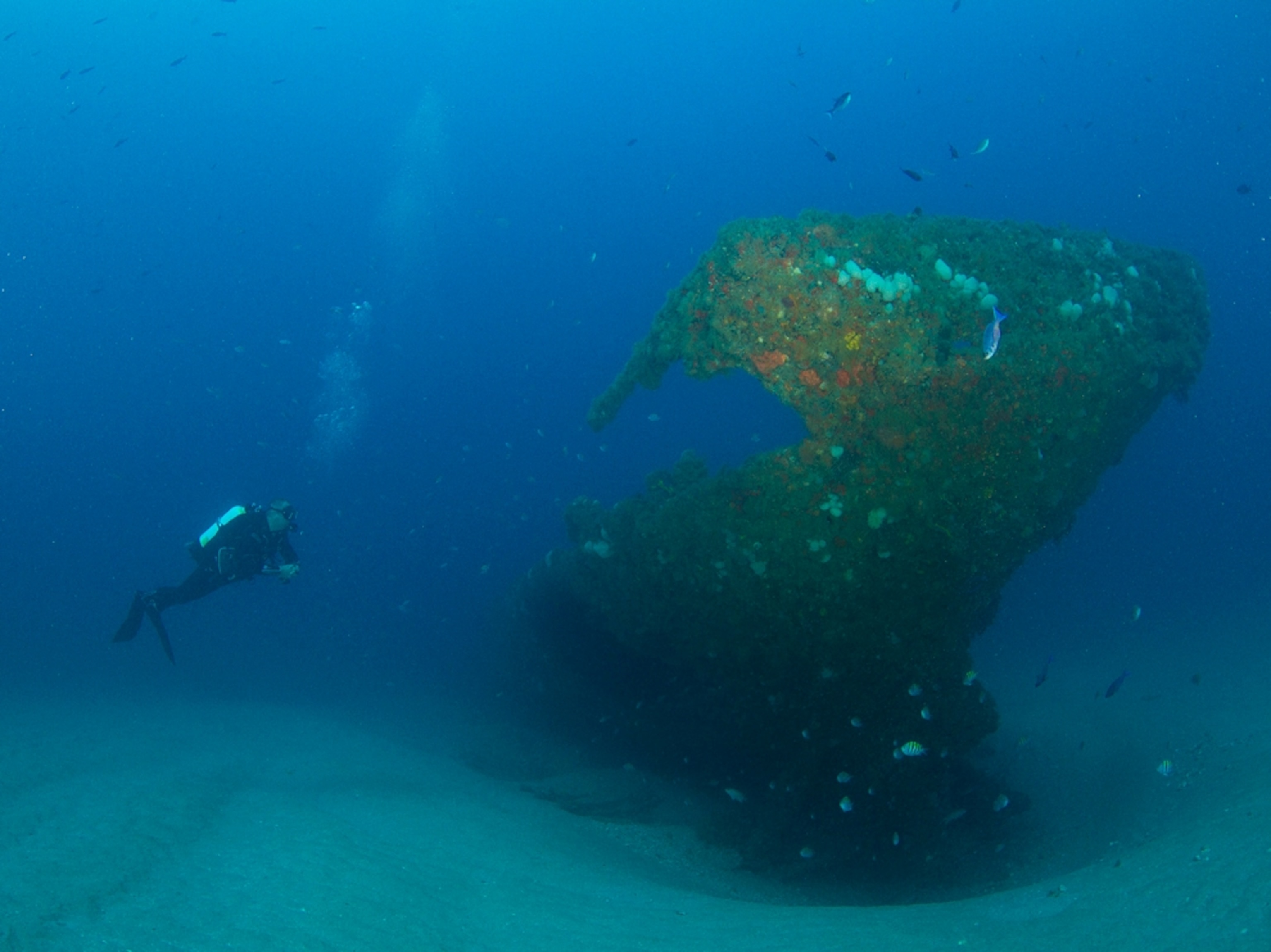 a scuba diver exploring a shipwreck off the coast of Boynton Beach, Florida