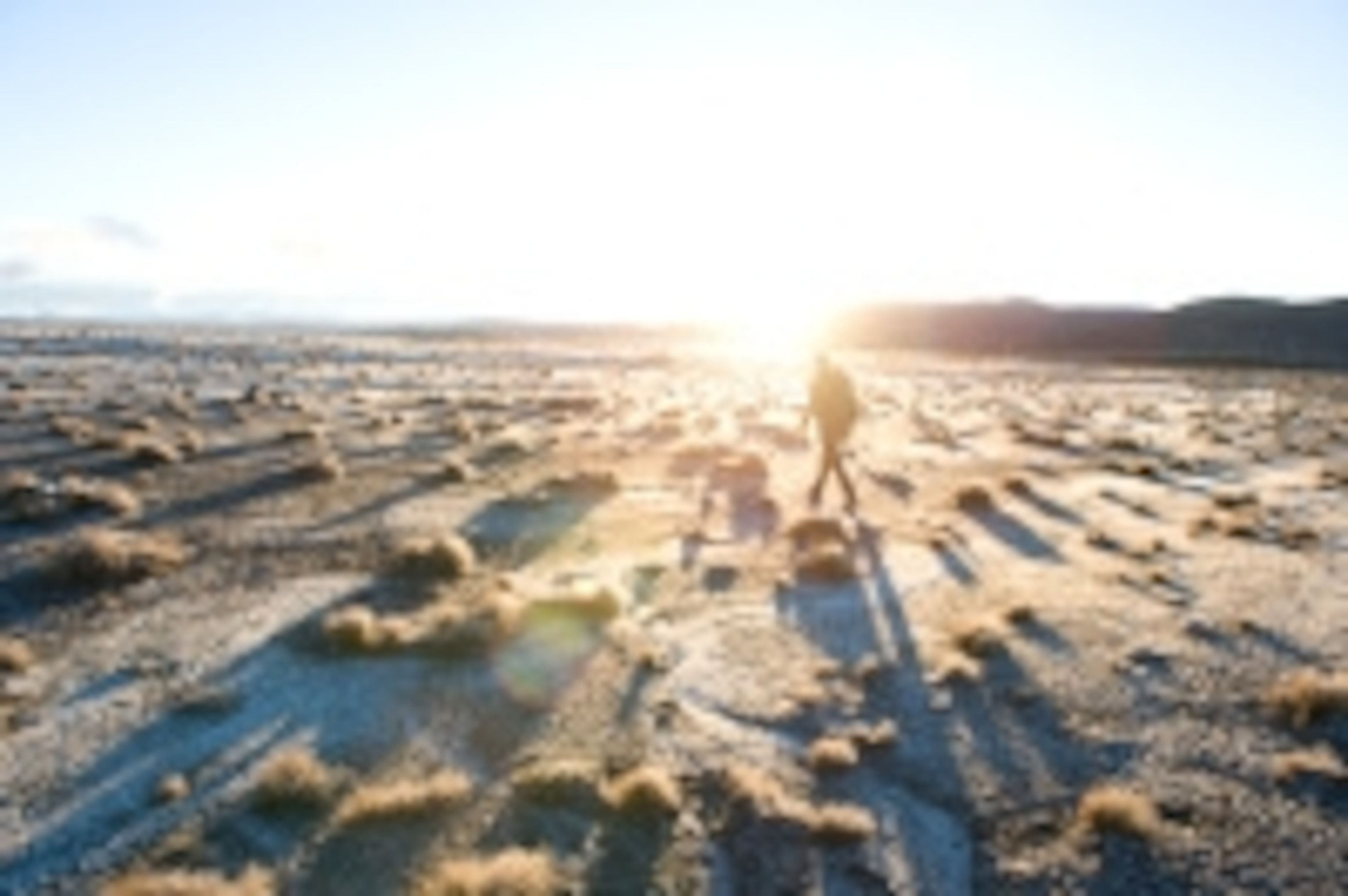 200806_nga_newzealand_0720