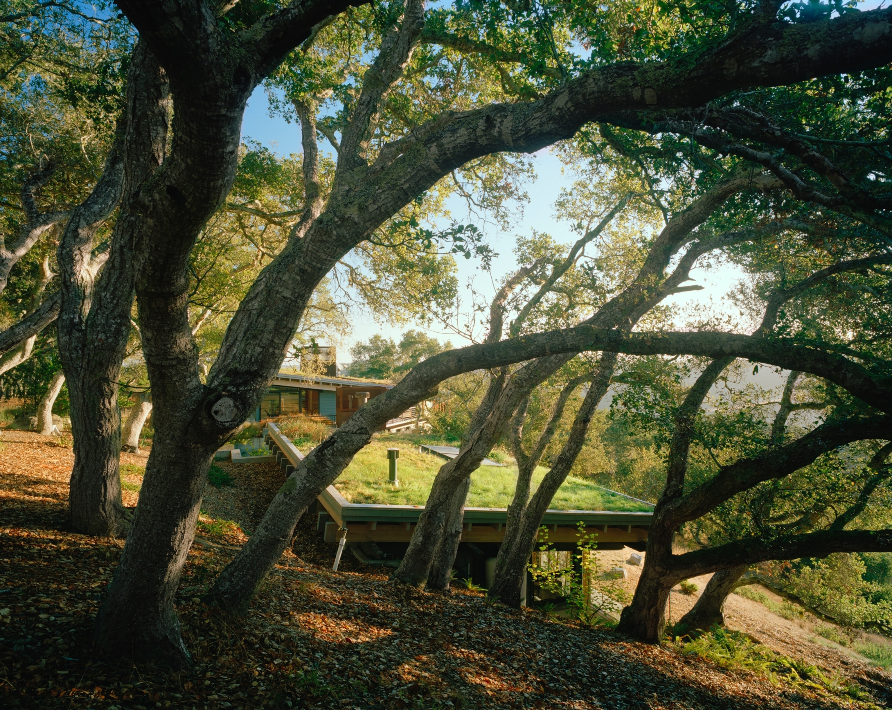 an irrigated house roof in the Santa Lucia Preserve community near Carmel, California