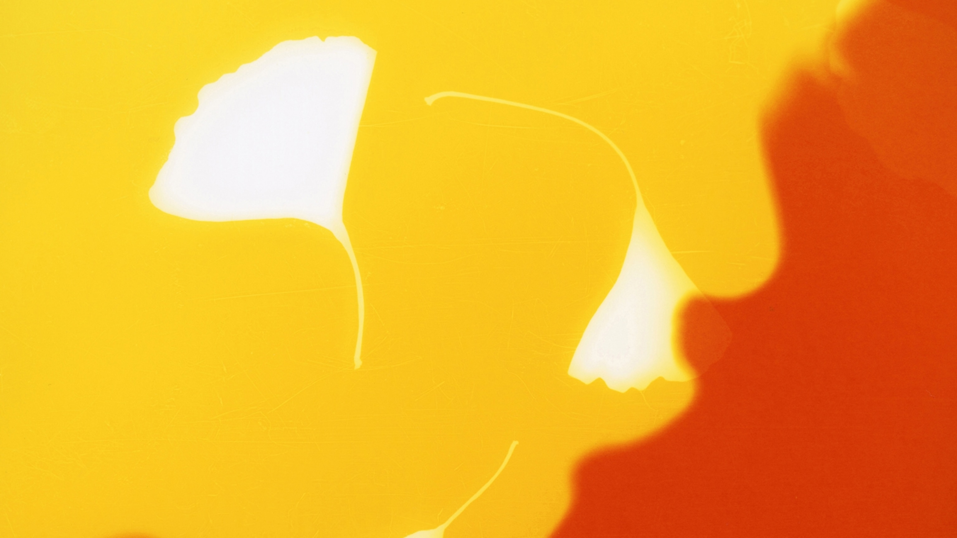 Finding light in Hiroshima's legacy