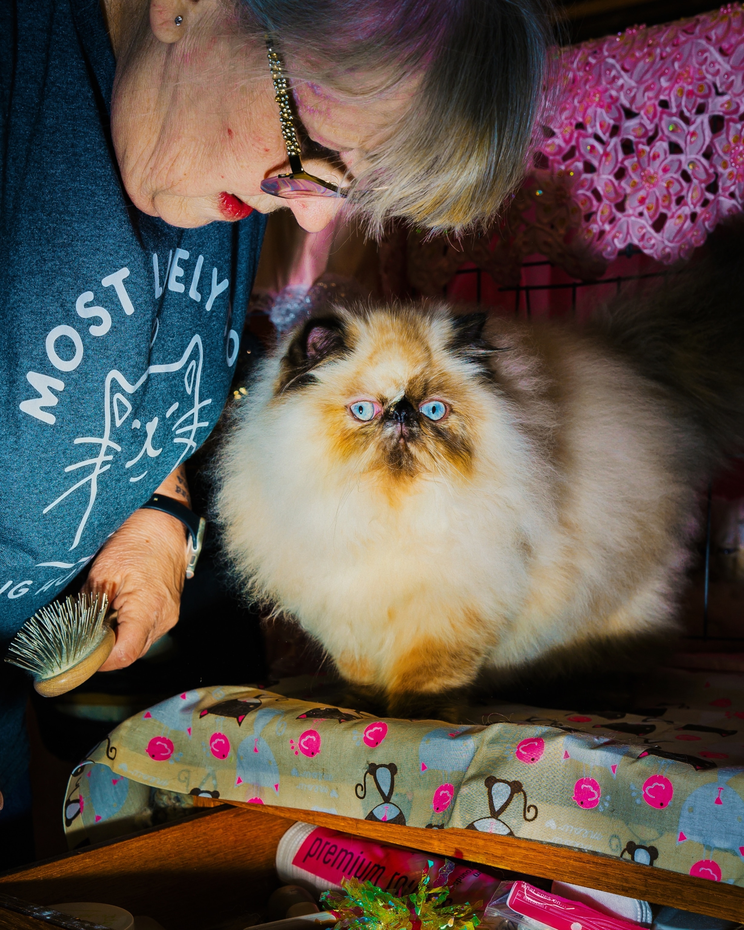 A woman leaning over a wide-eyed Himalayan cat with icy blue eyes.