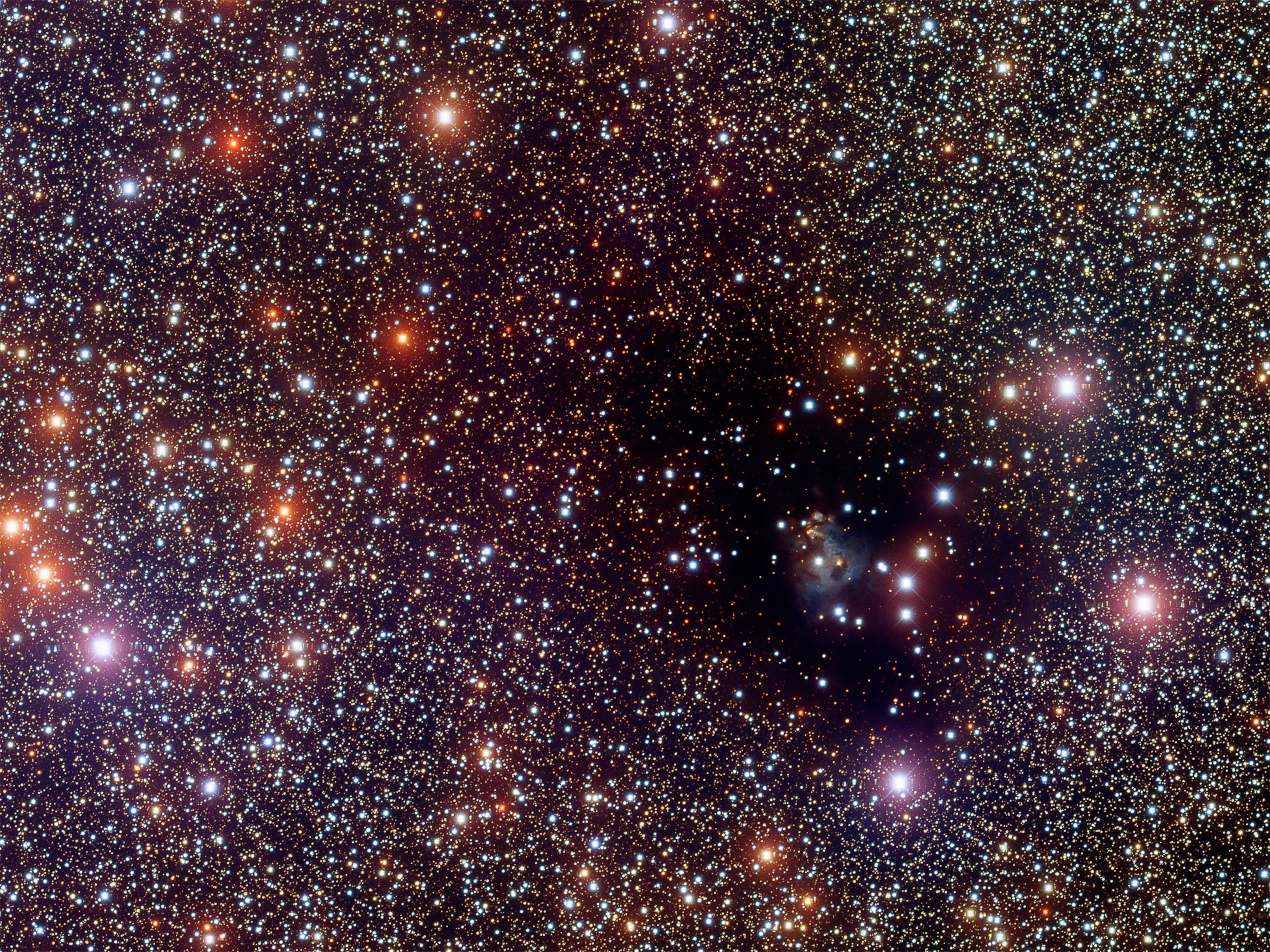 Picture - dark nebula LDN 810