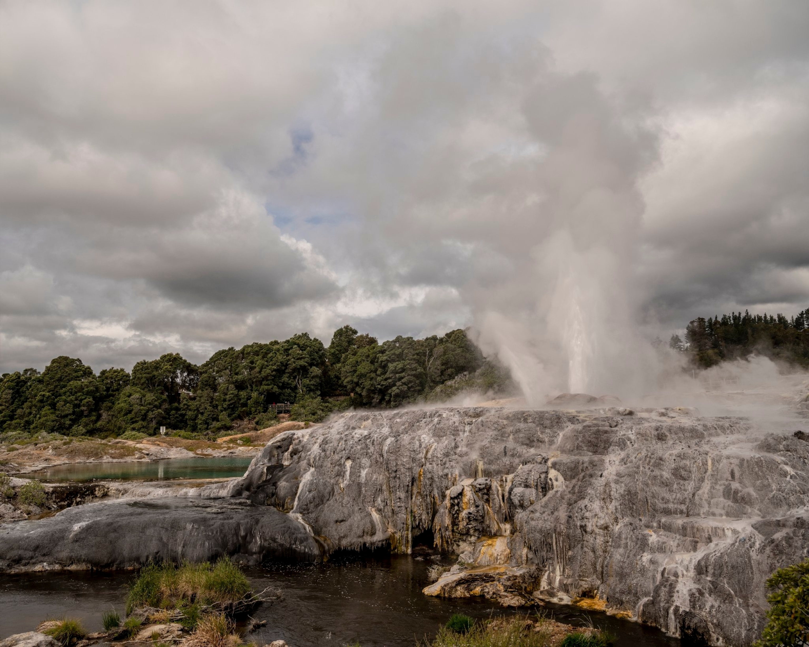 New Zealand, Rotorua and Bay of Plenty