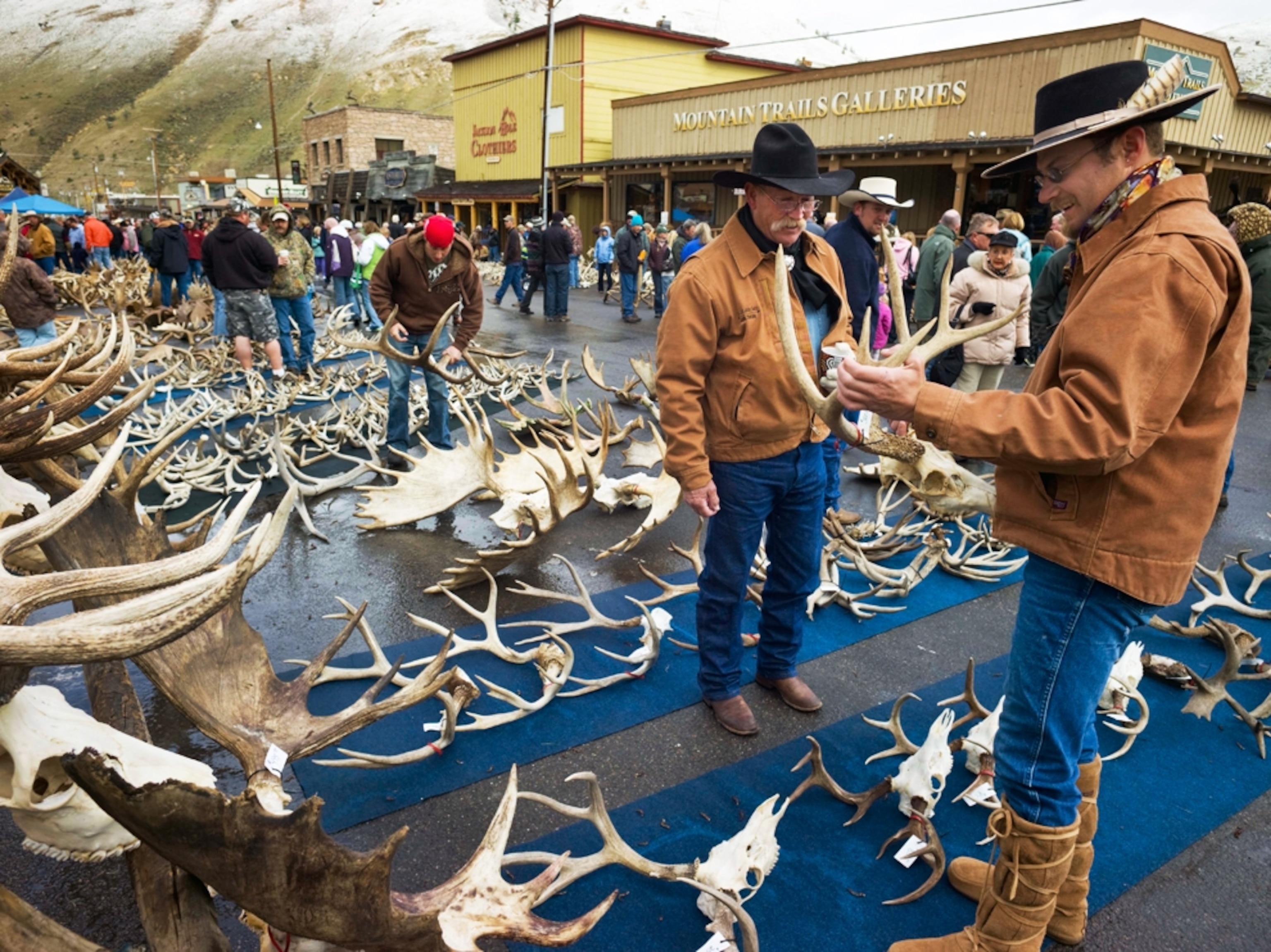 men looking at antlers on display
