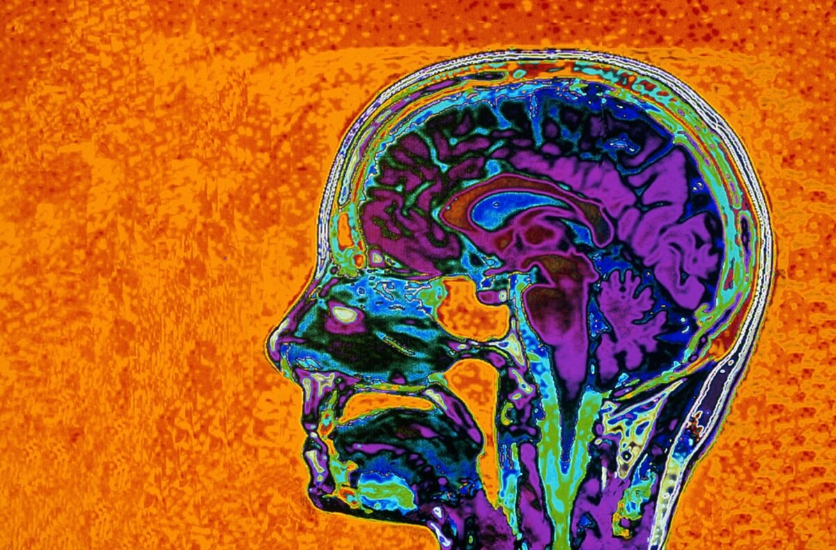 People Can Hallucinate Color at Will