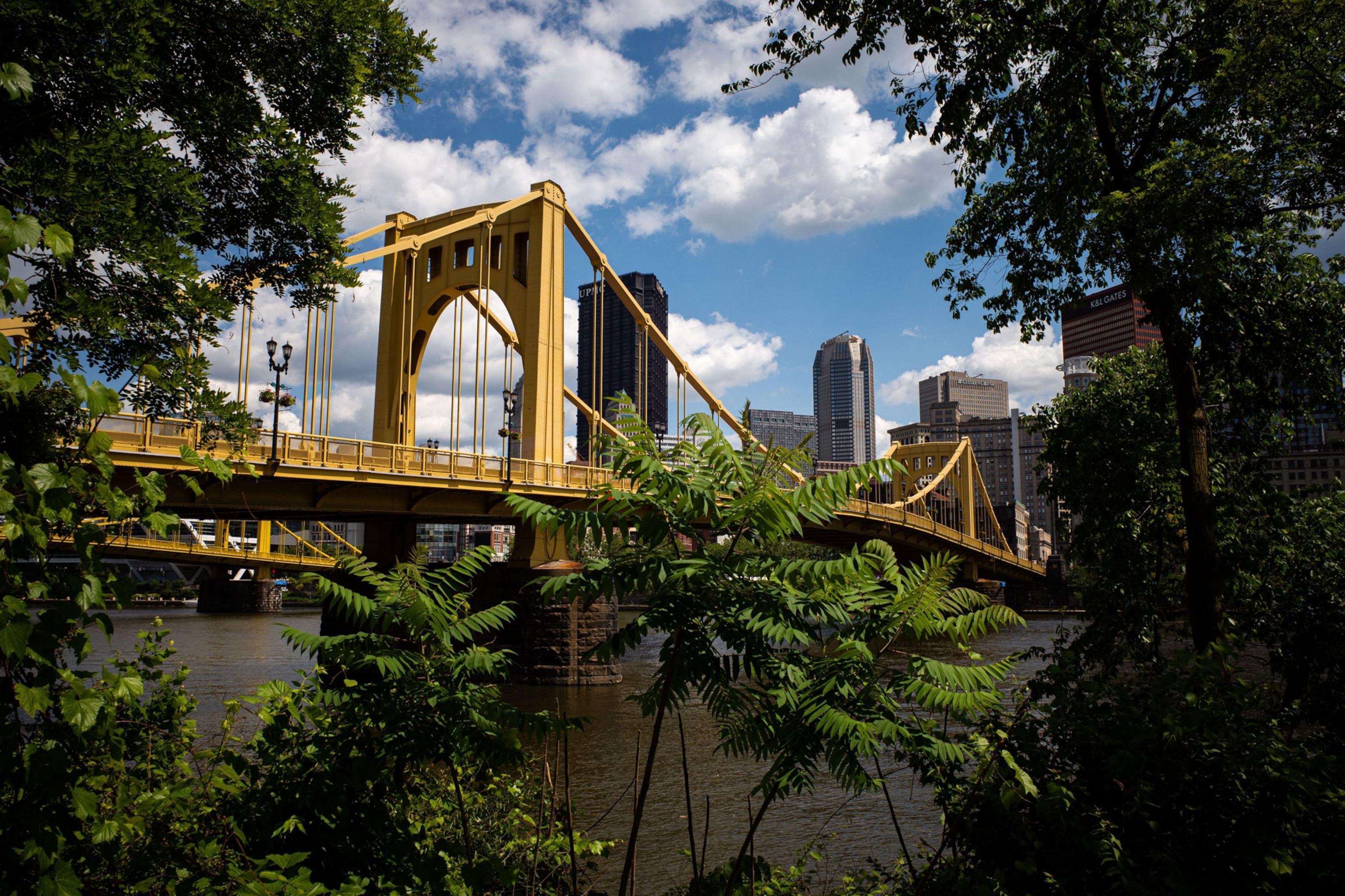 On a sunny day, the vibrant Andy Warhol Bridge stretches across the Allegheny River, framed by lush green leaves, with downtown Pittsburgh