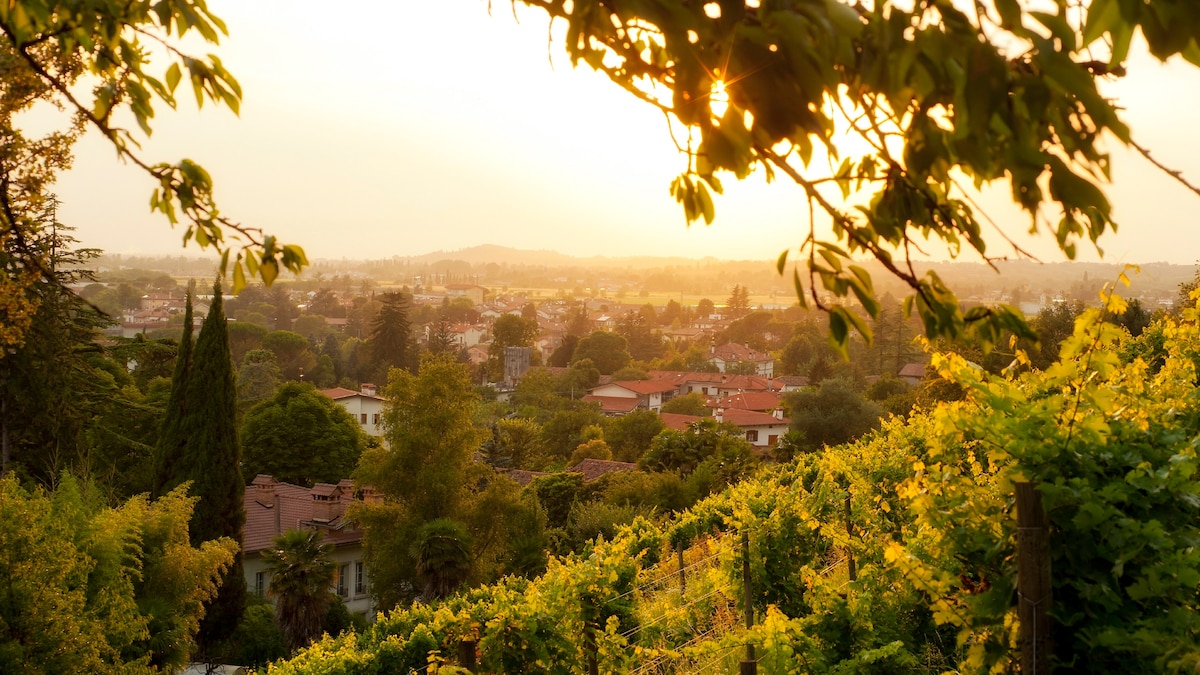 This little-known region may have Italy’s best wines