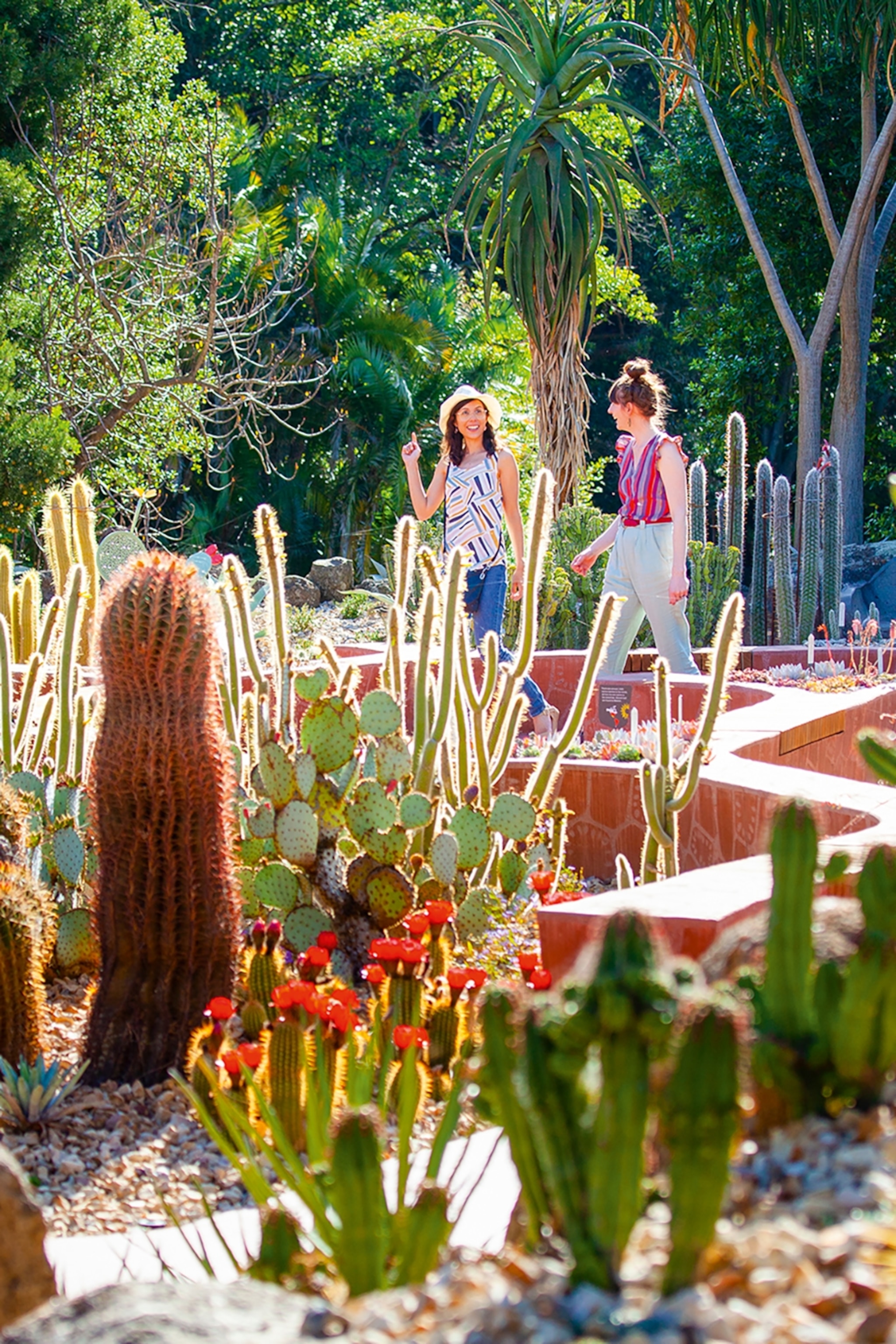 Two women walk through a botanic garden on a sunny day.