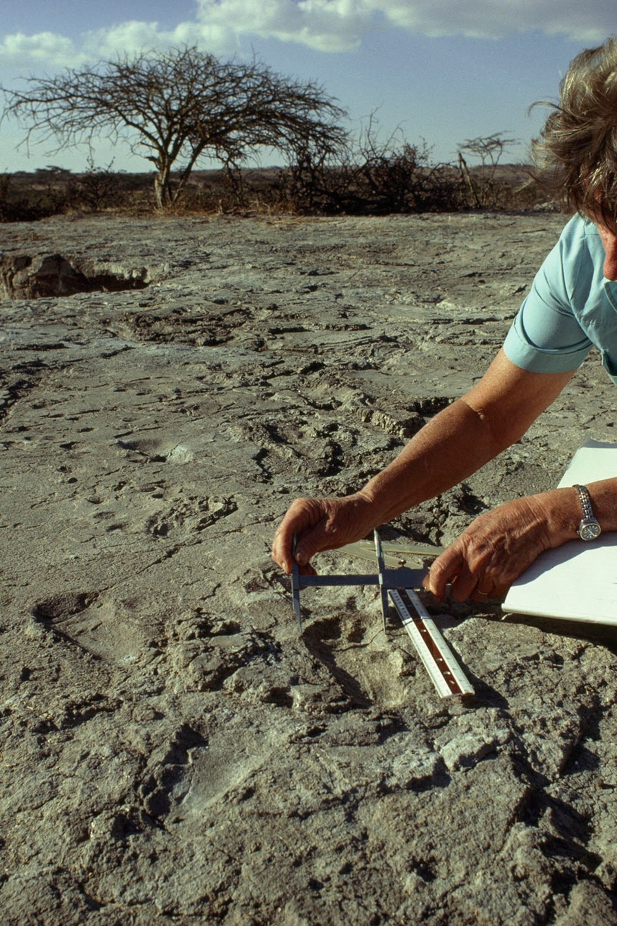 Newfound Footprints Stir Debate Over pic