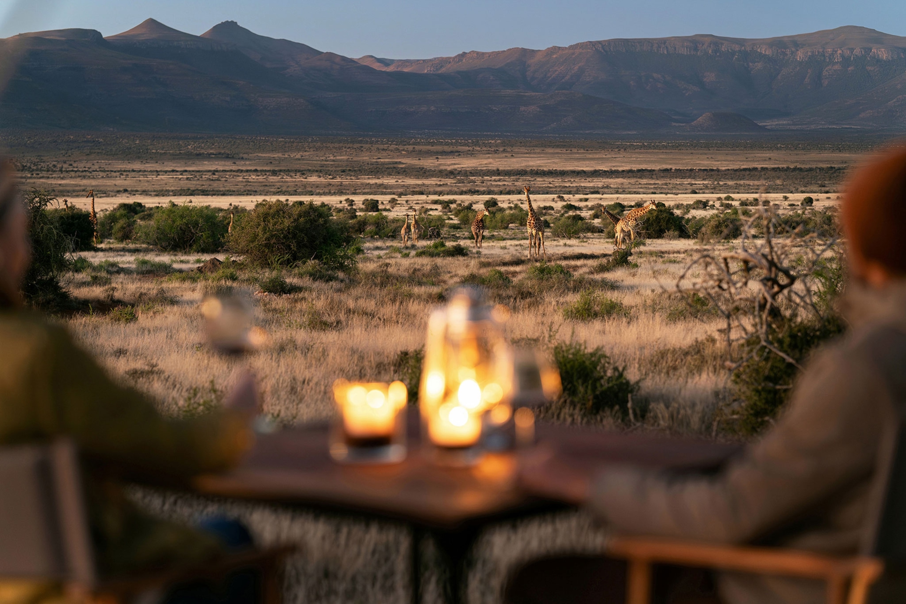 A couple, blurred in the foreground, looking out at African grasslands with a herd of giraffes