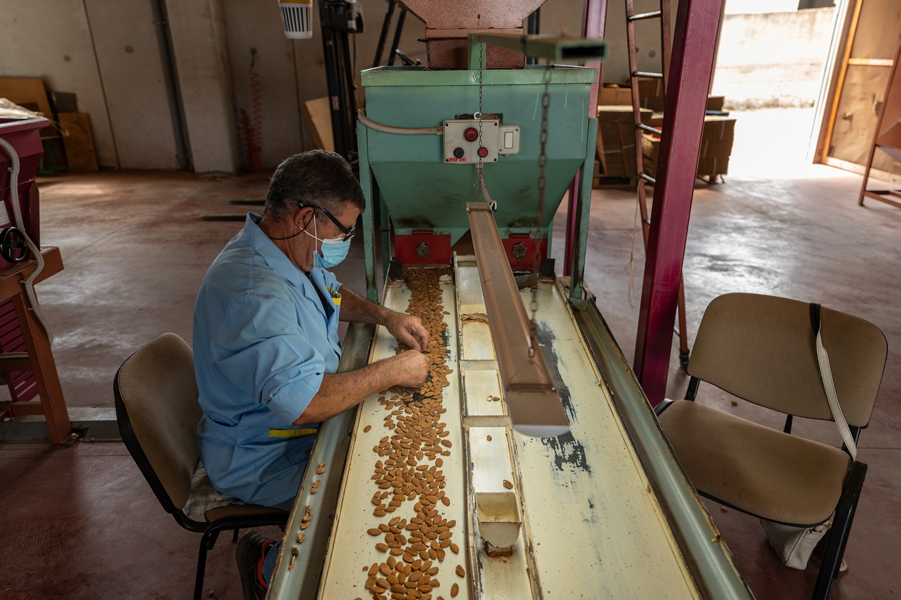 Discover Avola, the Italian town that feeds the world's almond craze |  National Geographic