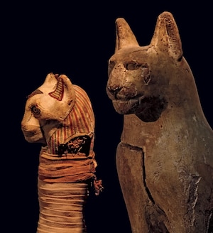 A wooden cat-shaped coffin, plastered and whitewashed to imitate limestone, stands about 14.5 inches tall, dwarfing the kitten inside.