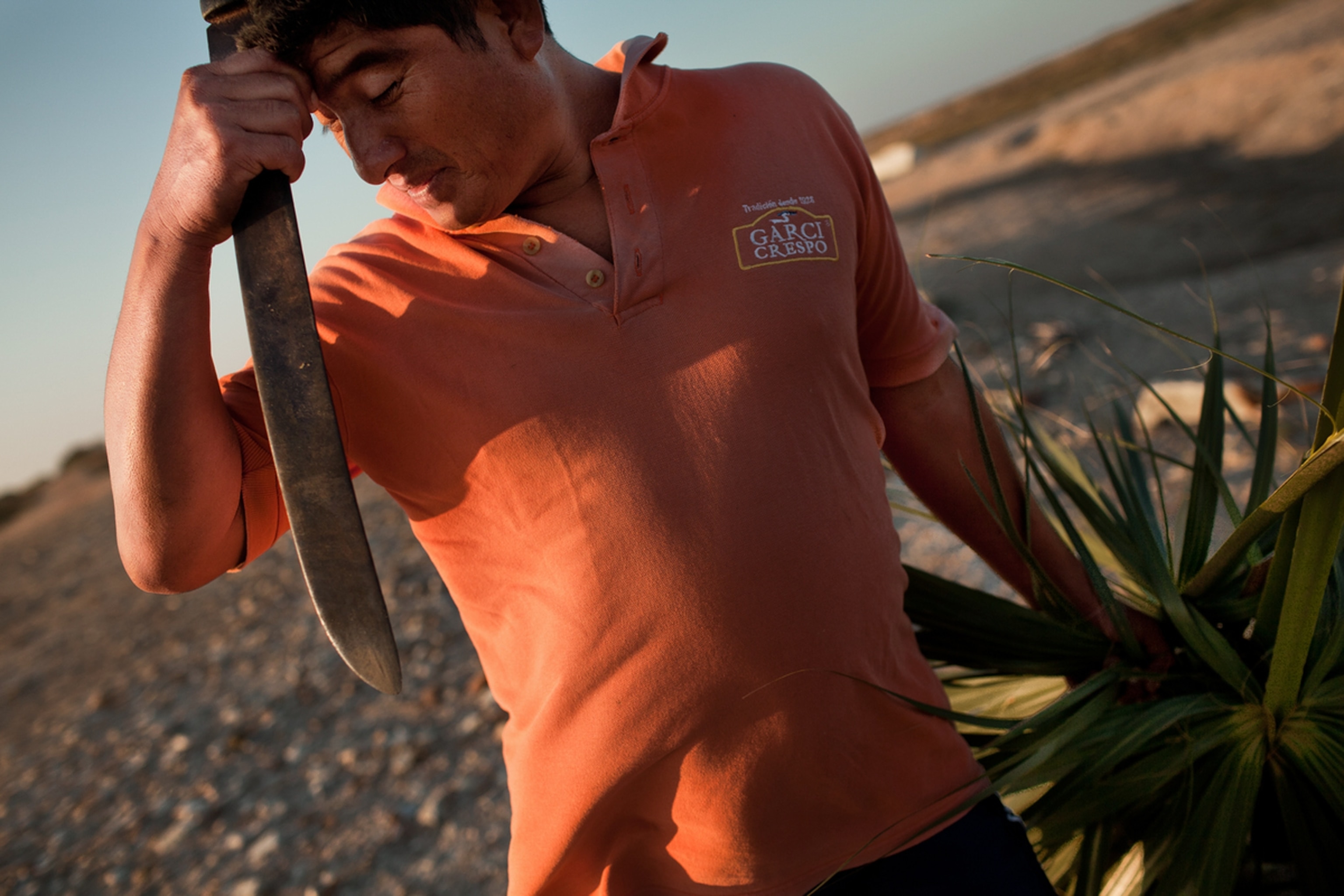 A fisherman from San Mateo del Mar, Mexico, cuts palms to protect his boat from the harsh sun