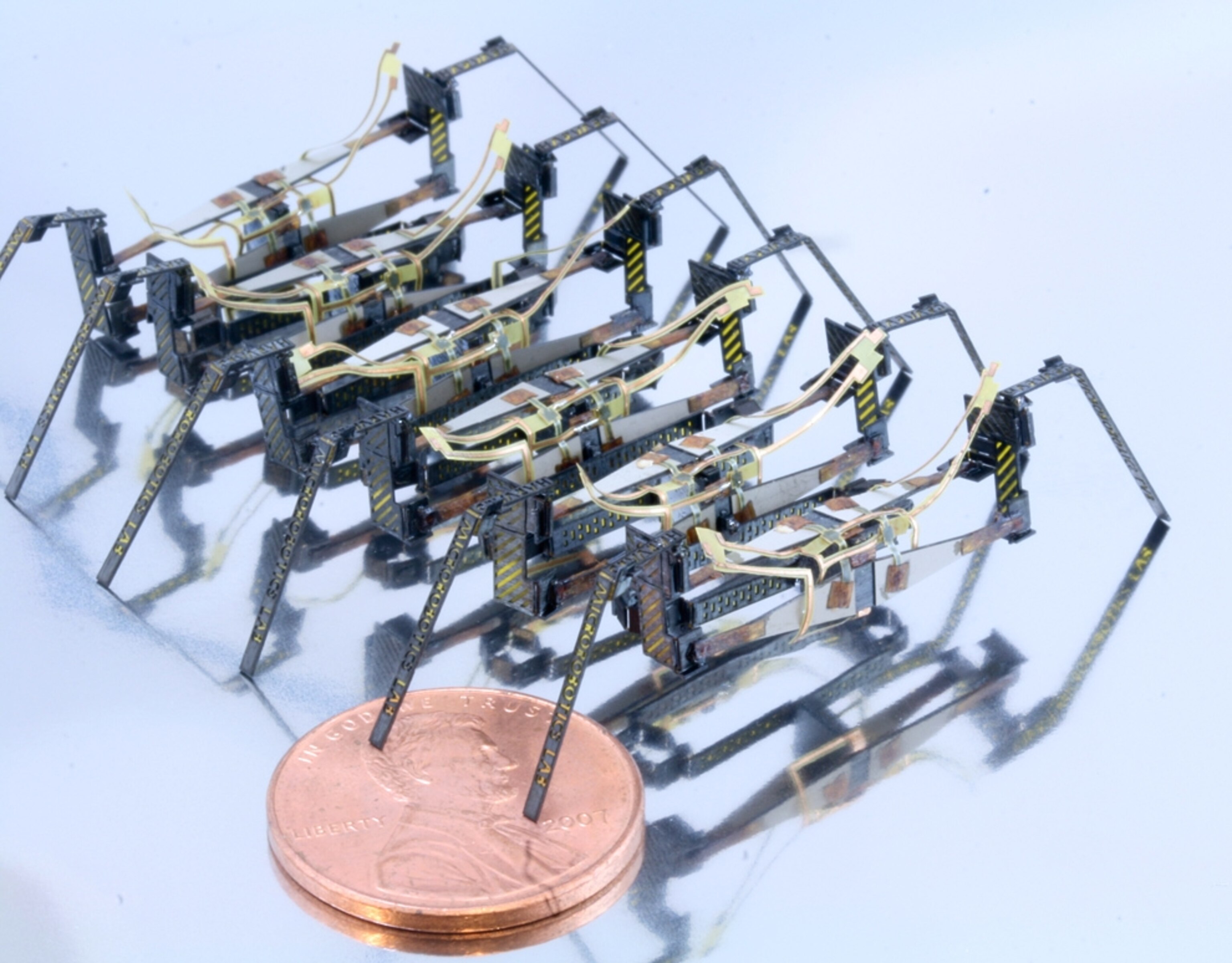 Centipede millirobot picture