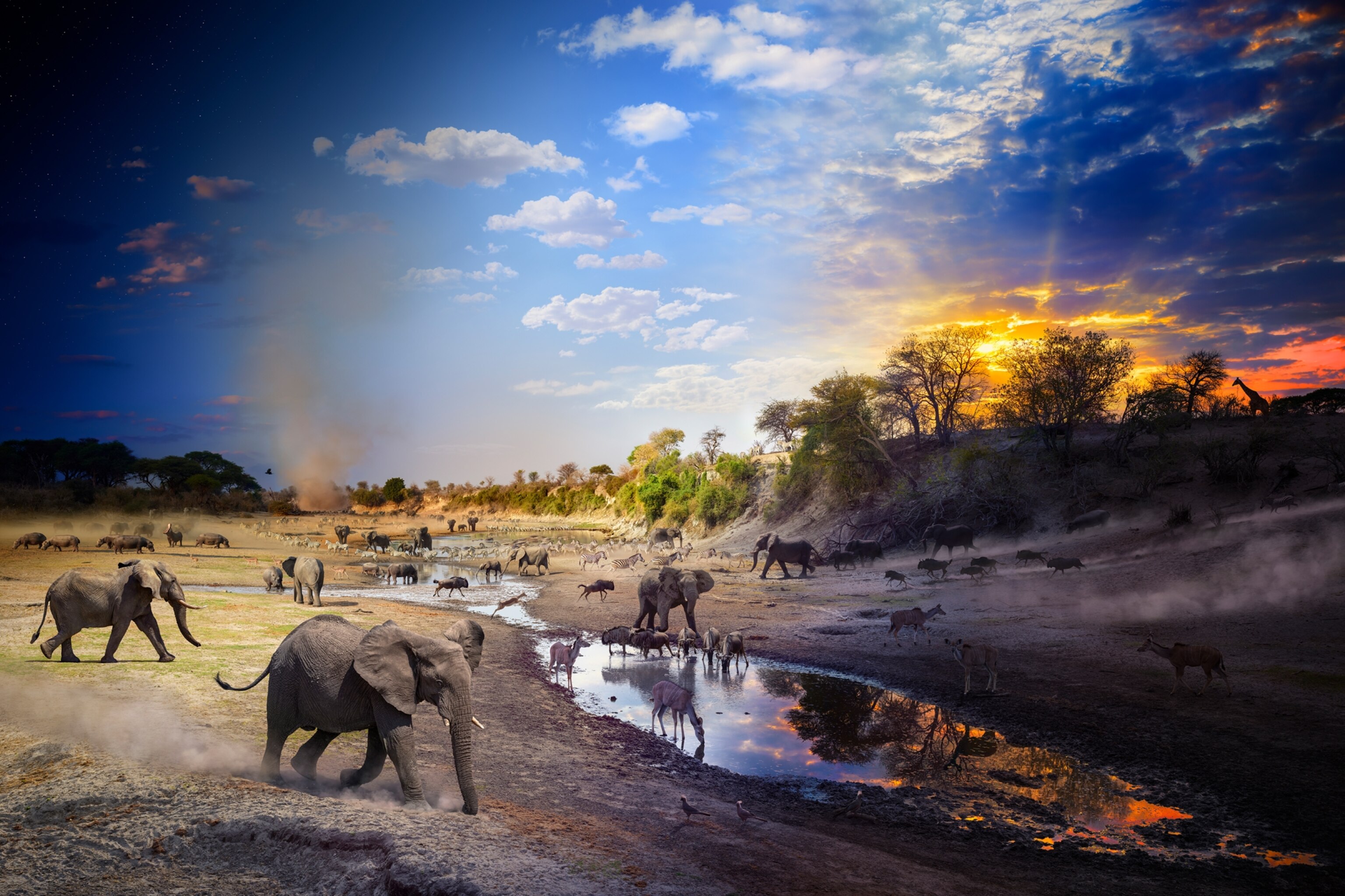 Photography | National Geographic