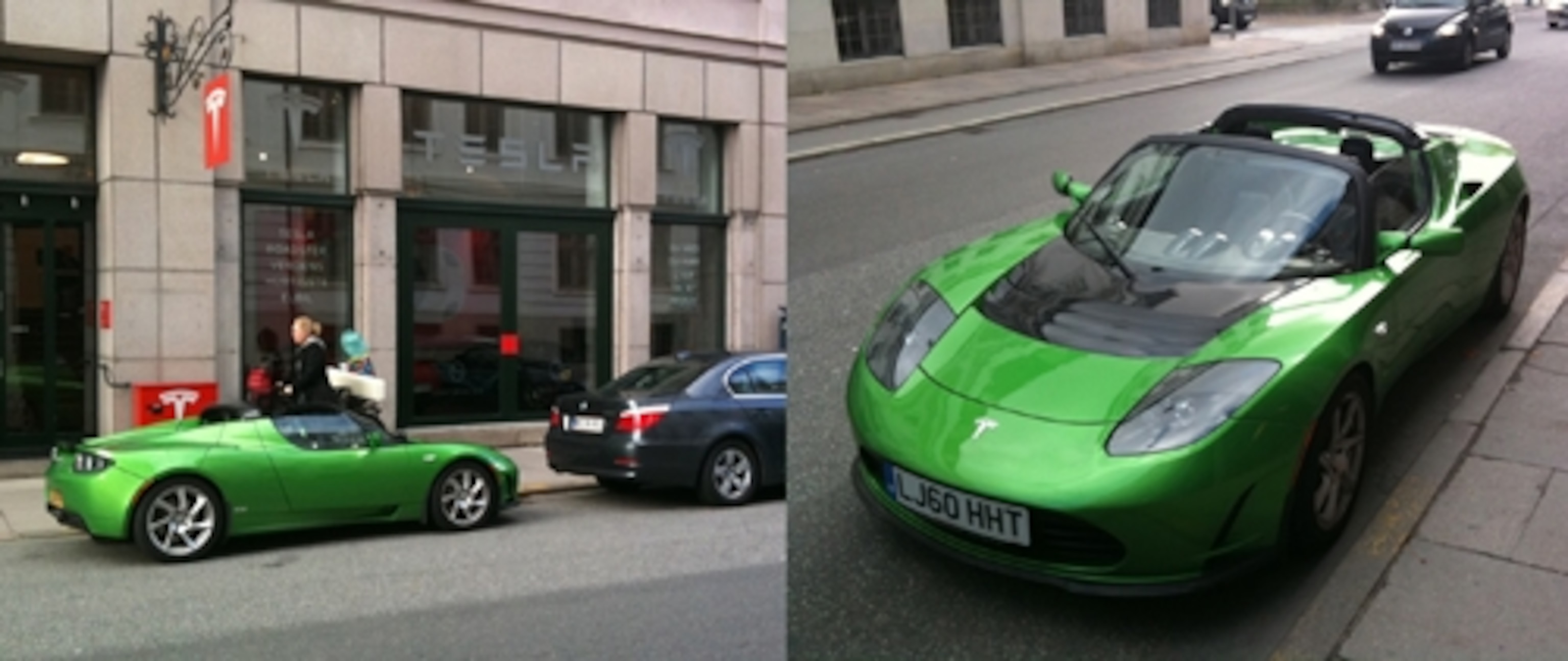 Photograph by David Hone