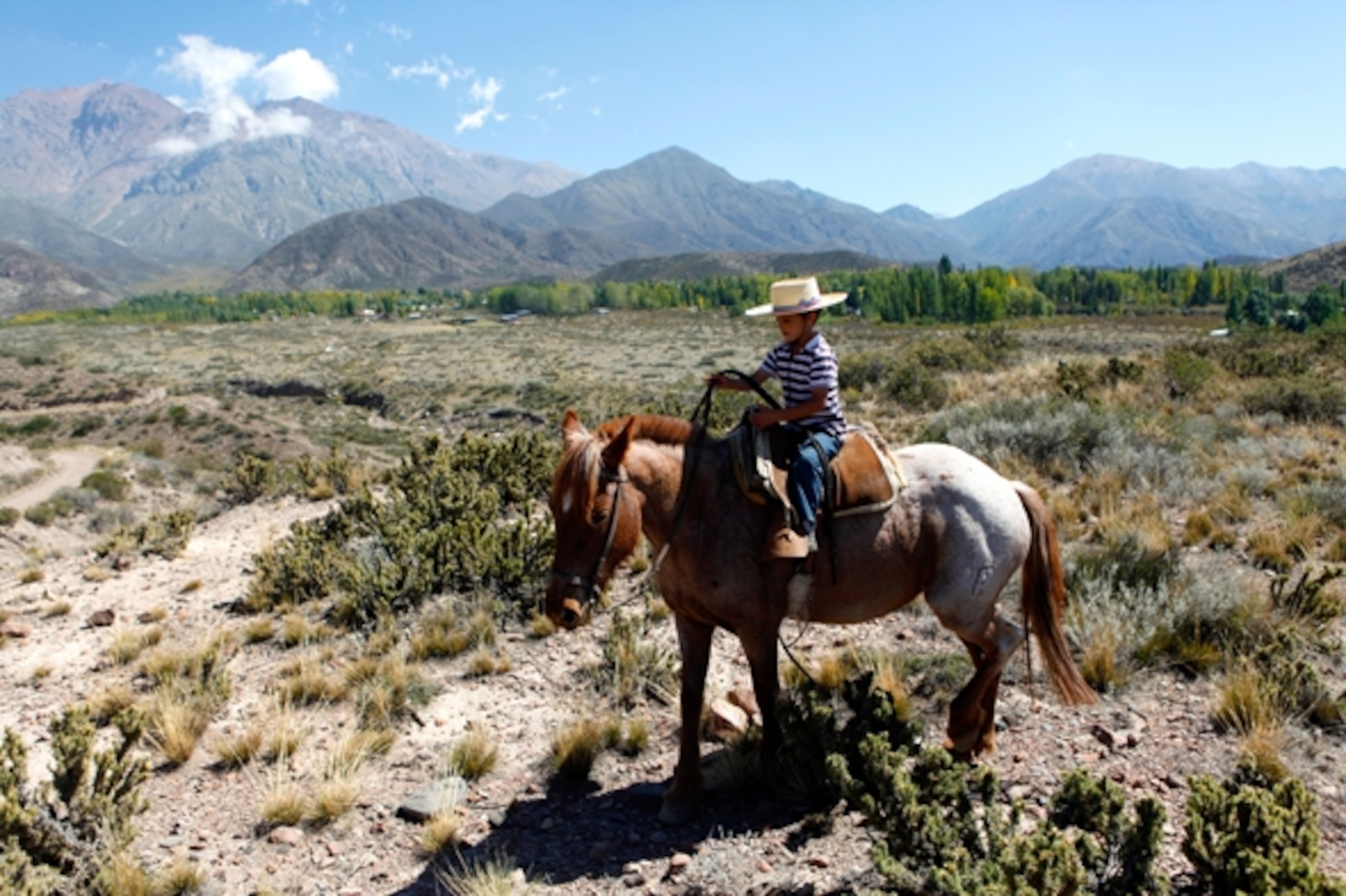 See the Andes on horseback. (Photograph by Jill Schneider)