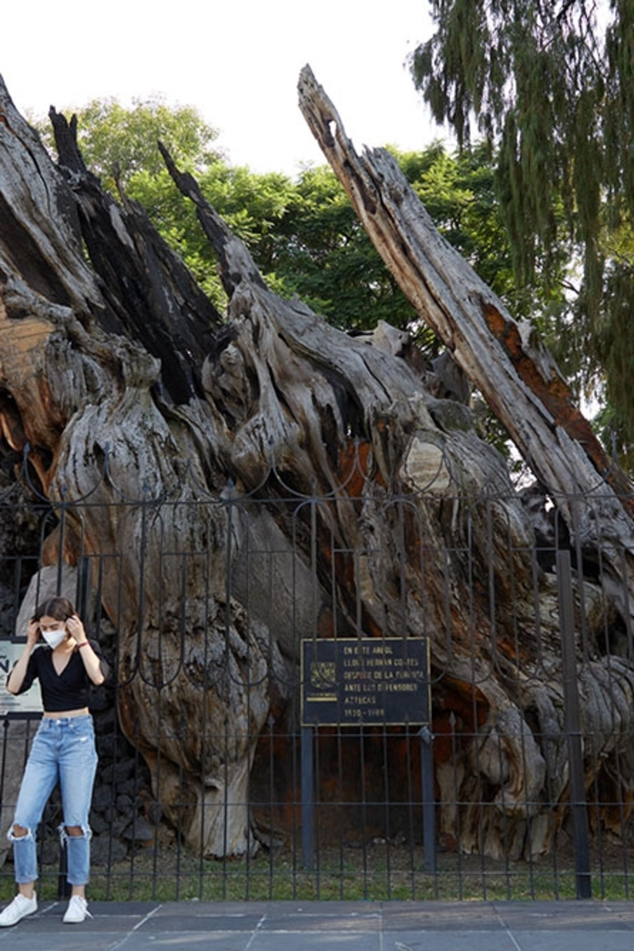 The Taliban And Fear Sweep Afghanistan