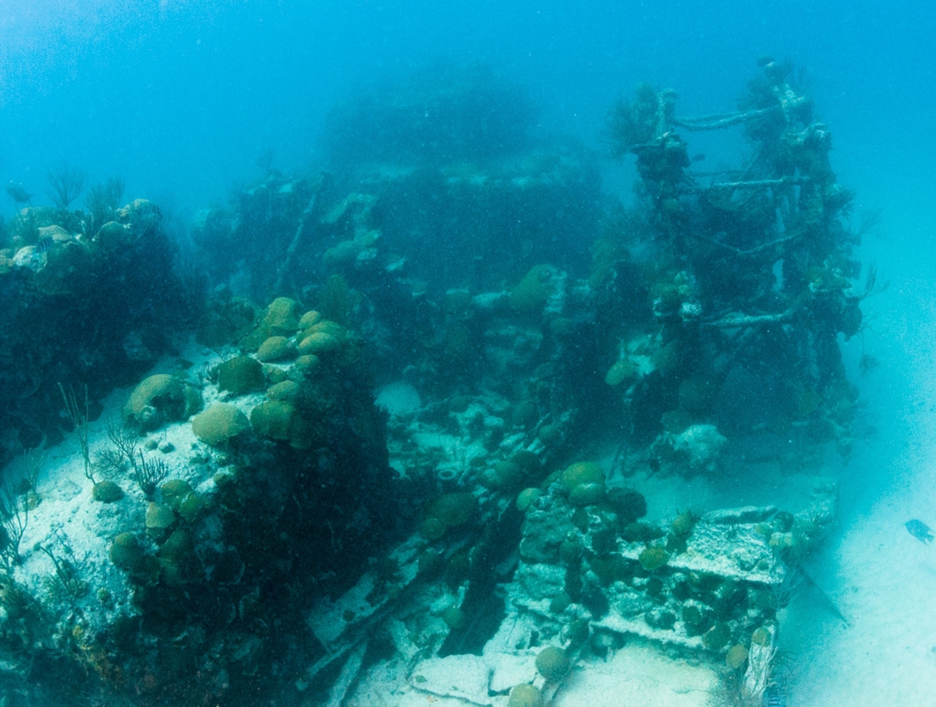 Shipwreck picture: a paddle wheel and ship machinery of the Civil War-era Mary Celestia off Bermuda